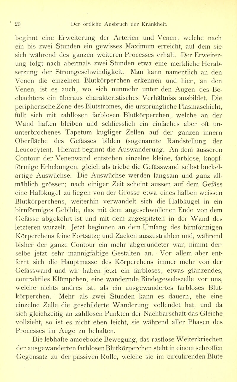 beginnt eine Erweiterung der Arterien und Venen, welche nach ein bis zwei Stunden ein gewisses Maximum erreicht, auf dem sie sich während des ganzen weiteren Processes erhält. Der Erweiter- ung folgt nach abermals zwei Stunden etwa eine merkliche Herab- setzung der Stromgeschwindigkeit. Man kann namentlich an den Venen die einzelnen Blutkörperchen erkennen und hier, an den Venen, ist es auch, wo sich nunmehr unter den Augen des Be- obachters ein überaus charakteristisches Verhältniss ausbildet. Die peripherische Zone des Blutstromes, die ursprüngliche Plasmaschicht, füllt sich mit zahllosen farblosen Blutkörperchen, welche an der Wand haften bleiben und schliesslich ein einfaches aber oft un- unterbrochenes Tapetum kugliger Zellen auf der ganzen innern Oberfläche des Gefässes bilden (sogenannte Randstellung der Leucocyten). Hierauf beginnt die Auswanderung. An dem äusseren Contour der Venenwand entstehen einzelne kleine, farblose, knopf- förmige Erhebungen, gleich als triebe die Gefässwand selbst buckel- artige Auswüchse. Die Auswüchse werden langsam und ganz all- mählich grösser; nach einiger Zeit scheint aussen auf dem Gefäss eine Halbkugel zu liegen von der Grösse etwa eines halben weissen Blutkörperchens, weiterhin verwandelt sich die Halbkugel in ein birnförmiges Gebilde, das mit dem angeschwollenen Ende von dem Gefässe abgekehrt ist und mit dem zugespitzten in der Wand des letzteren wurzelt. Jetzt begiimen an dem Umfang des birnförmigen Körperchens feine Fortsätze und Zacken auszustrahlen und, während bisher der ganze Contour ein mehr abgerundeter war, nimmt der- selbe jetzt sehr mannigfaltige Gestalten an. Vor allem aber ent- fernt sich die Hauptmasse des Körperchens immer mehr von der Gefässwand und wir haben jetzt ein farbloses, etwas glänzendes, contraktiles Klümpchen, eine wandernde Bindegewebszelle vor uns, welche nichts andres ist, als ein ausgewandertes farbloses Blut- körperchen. Mehr als zwei Stunden kann es dauern, ehe eine einzelne Zelle die geschilderte Wanderung vollendet hat, und da sich gleichzeitig an zahllosen Punkten der Nachbarschaft das Gleiche vollzieht, so ist es nicht eben leicht, sie während aller Phasen des Processes im Auge zu behalten. Die lebhafte amoeboide Bewegung, das rastlose Weiterkriechen der ausgewanderten farblosen Blutkörperchen steht in einem schroffen Gegensatz zu der passiven Rolle, welche sie im circulirenden Blute