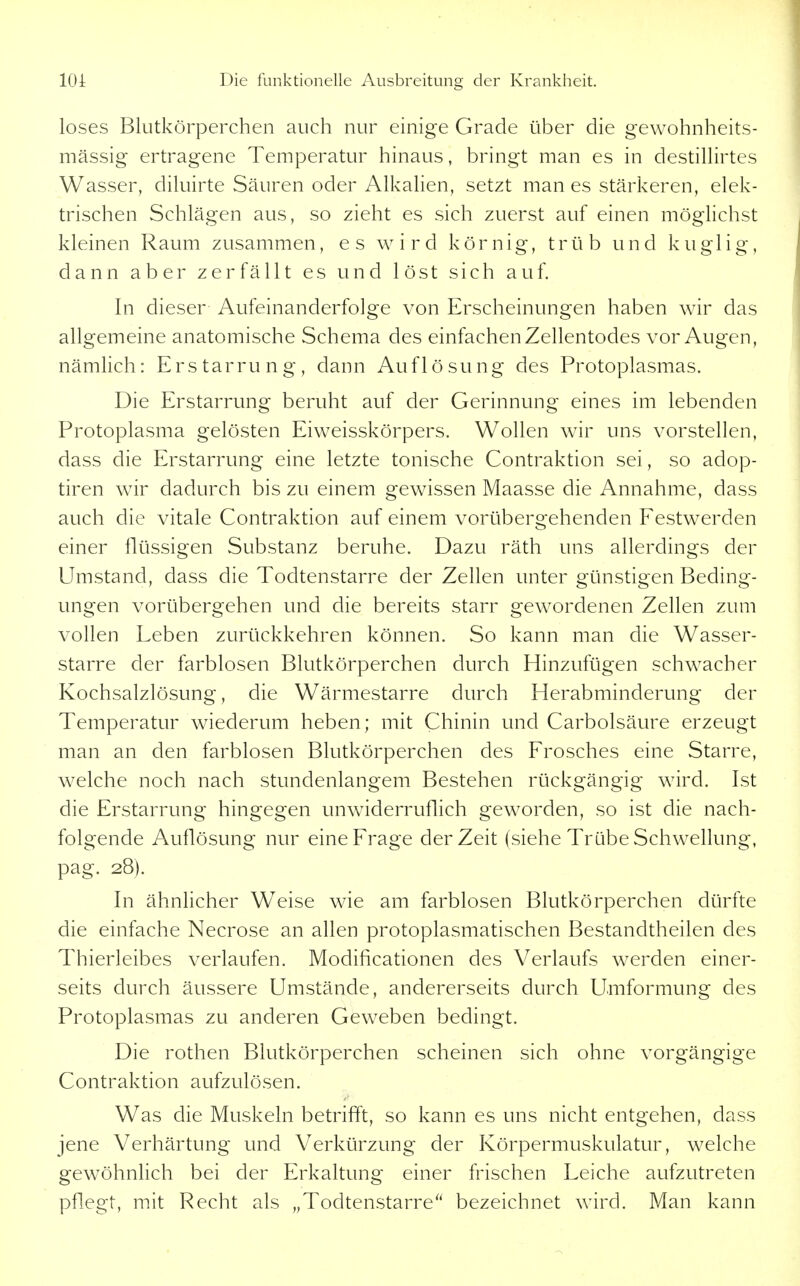 loses Blutkörperchen auch nur einige Grade über die gewohnheits- mässig ertragene Temperatur hinaus, bringt man es in destillirtes Wasser, diluirte Säuren oder Alkalien, setzt man es stärkeren, elek- trischen Schlägen aus, so zieht es sich zuerst auf einen möglichst kleinen Raum zusammen, es wird körnig, trüb und kuglig, dann aber zerfällt es und löst sich auf. In dieser Aufeinanderfolge von Erscheinungen haben wir das allgemeine anatomische Schema des einfachen Zellentodes vor Augen, nämlich: Erstarrung, dann Auflösung des Protoplasmas. Die Erstarrung beruht auf der Gerinnung eines im lebenden Protoplasma gelösten Eiweisskörpers. Wollen wir uns vorstellen, dass die Erstarrung eine letzte tonische Contraktion sei, so adop- tiren wir dadurch bis zu einem gewissen Maasse die Annahme, dass auch die vitale Contraktion auf einem vorübergehenden Festwerden einer flüssigen Substanz beruhe. Dazu räth uns allerdings der Umstand, dass die Todtenstarre der Zellen unter günstigen Beding- ungen vorübergehen und die bereits starr gewordenen Zellen zum vollen Leben zurückkehren können. So kann man die Wasser- starre der farblosen Blutkörperchen durch Hinzufügen schwacher Kochsalzlösung, die Wärmestarre durch Herabminderung der Temperatur wiederum heben; mit Chinin und Carbolsäure erzeugt man an den farblosen Blutkörperchen des Frosches eine Starre, welche noch nach stundenlangem Bestehen rückgängig wird. Lst die Erstarrung hingegen unwiderruflich geworden, so ist die nach- folgende Auflösung nur eine Frage der Zeit (siehe Trübe Schwellung, pag. 28). In ähnlicher Weise wie am farblosen Blutkörperchen dürfte die einfache Necrose an allen protoplasmatischen Bestandtheilen des Thierleibes verlaufen. Modificationen des Verlaufs werden einer- seits durch äussere Umstände, andererseits durch Umformung des Protoplasmas zu anderen Geweben bedingt. Die rothen Blutkörperchen scheinen sich ohne vorgängige Contraktion aufzulösen. Was die Muskeln betrifft, so kann es uns nicht entgehen, dass jene Verhärtung und Verkürzung der Körpermuskulatur, welche gewöhnlich bei der Erkaltung einer frischen Leiche aufzutreten pflegt, mit Recht als „Todtenstarre'* bezeichnet wird. Man kann