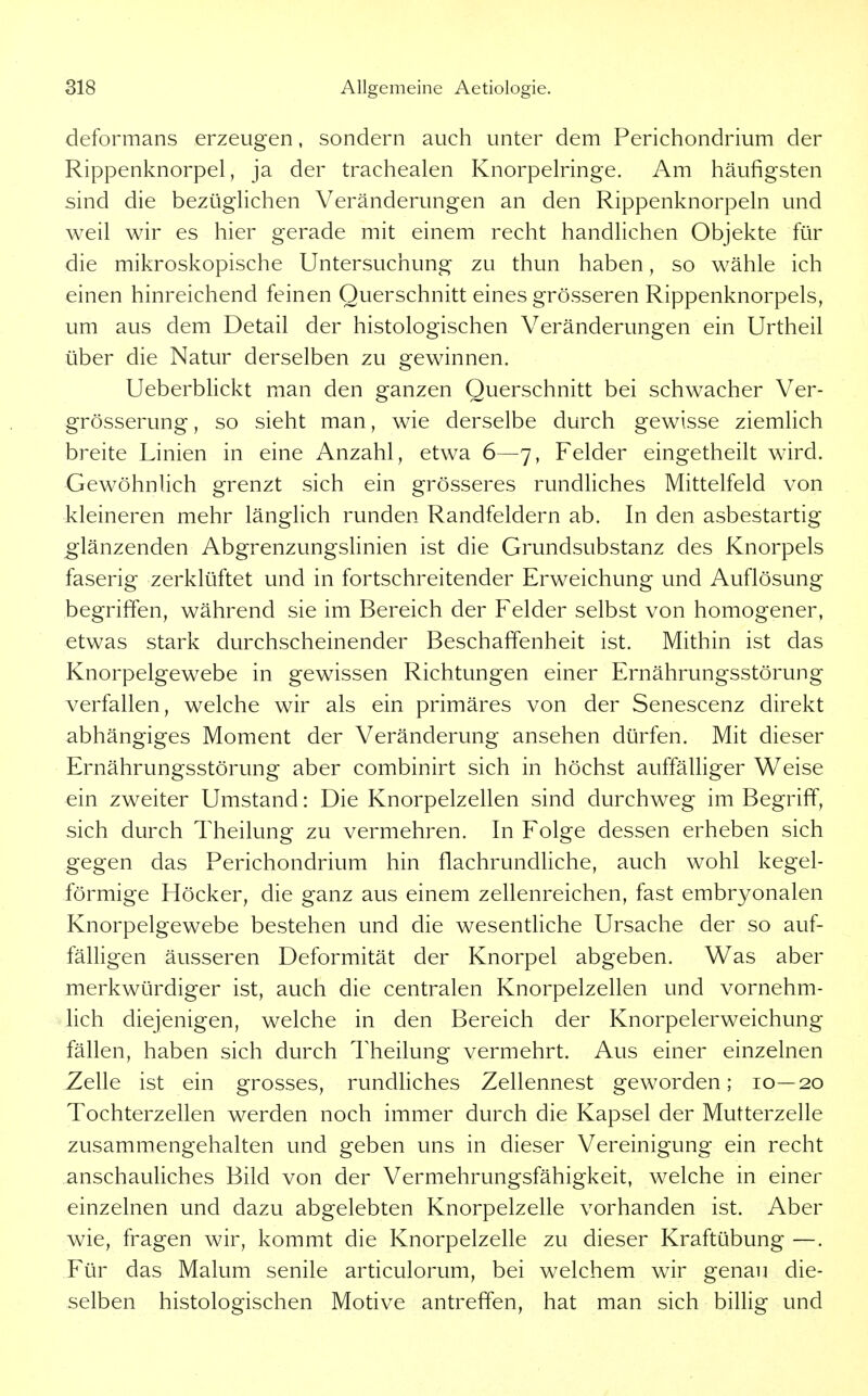 deformans erzeugen, sondern auch unter dem Perichondrium der Rippenknorpel, ja der trachealen Knorpelringe. Am häufigsten sind die bezüglichen Veränderungen an den Rippenknorpeln und weil wir es hier gerade mit einem recht handlichen Objekte für die mikroskopische Untersuchung zu thun haben, so wähle ich einen hinreichend feinen Querschnitt eines grösseren Rippenknorpels, um aus dem Detail der histologischen Veränderungen ein Urtheil über die Natur derselben zu gewinnen. Ueberblickt man den ganzen Querschnitt bei schwacher Ver- grösserung, so sieht man, wie derselbe durch gewisse ziemlich breite Linien in eine Anzahl, etwa 6—7, Felder eingetheilt wird. Gewöhnlich grenzt sich ein grösseres rundliches Mittelfeld von kleineren mehr längHch runden Randfeldern ab. In den asbestartig glänzenden Abgrenzungslinien ist die Grundsubstanz des Knorpels faserig zerklüftet und in fortschreitender Erweichung und Auflösung begriffen, während sie im Bereich der Felder selbst von homogener, etwas stark durchscheinender Beschaffenheit ist. Mithin ist das Knorpelgewebe in gewissen Richtungen einer Ernährungsstörung verfallen, welche wir als ein primäres von der Senescenz direkt abhängiges Moment der Veränderung ansehen dürfen. Mit dieser Ernährungsstörung aber combinirt sich in höchst auffälliger Weise ein zweiter Umstand: Die Knorpelzellen sind durchweg im Begriff, sich durch Theilung zu vermehren. In Folge dessen erheben sich gegen das Perichondrium hin flachrundhche, auch wohl kegel- förmige Höcker, die ganz aus einem zellenreichen, fast embryonalen Knorpelgewebe bestehen und die wesentHche Ursache der so auf- fälligen äusseren Deformität der Knorpel abgeben. Was aber merkwürdiger ist, auch die centralen Knorpelzellen und vornehm- lich diejenigen, welche in den Bereich der Knorpelerweichung fällen, haben sich durch Theilung vermehrt. Aus einer einzelnen Zelle ist ein grosses, rundHches Zellennest geworden; 10—20 Tochterzellen werden noch immer durch die Kapsel der Mutterzelle zusammengehalten und geben uns in dieser Vereinigung ein recht anschauliches Bild von der Vermehrungsfähigkeit, welche in einer einzelnen und dazu abgelebten Knorpelzelle vorhanden ist. Aber wie, fragen wir, kommt die Knorpelzelle zu dieser Kraftübung —. Für das Malum senile articulorum, bei welchem wir genau die- selben histologischen Motive antreffen, hat man sich billig und