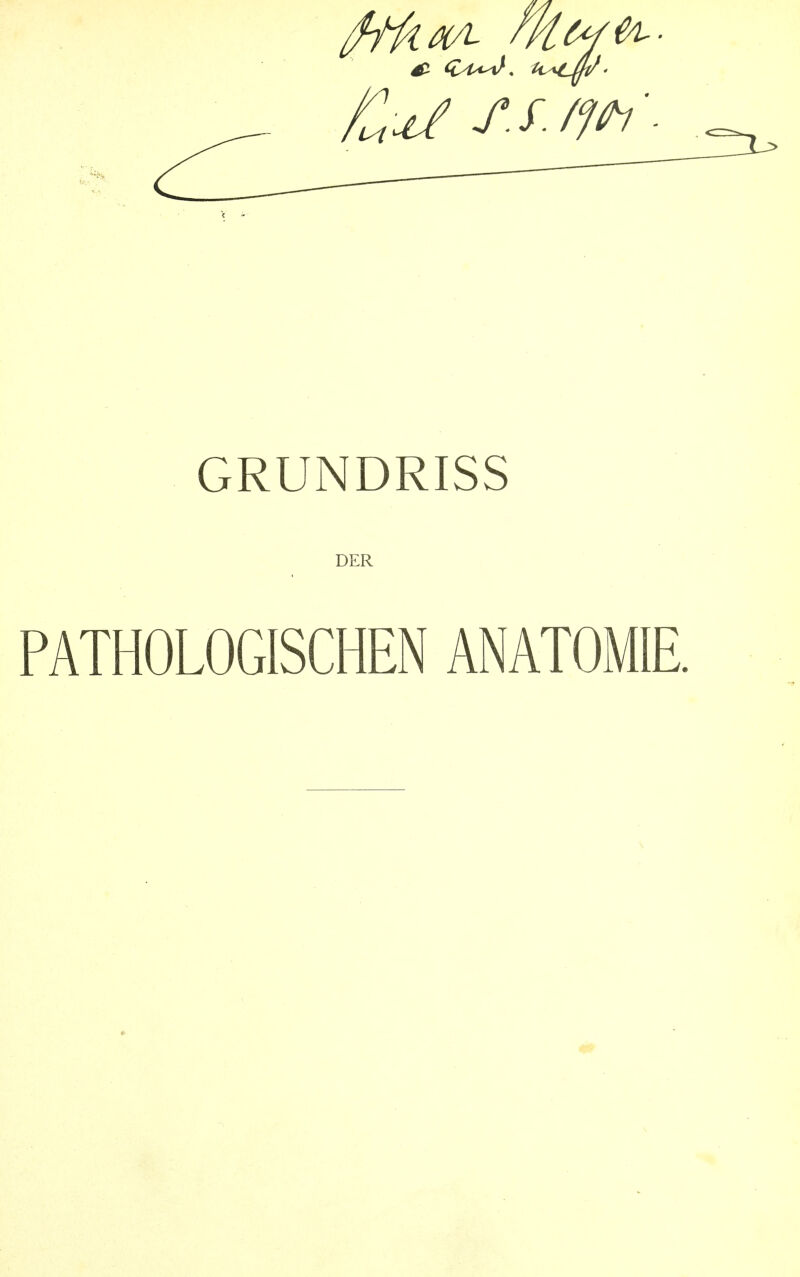 GRUNDRISS DER PATHOLOGISCHEN ANATOMIE,