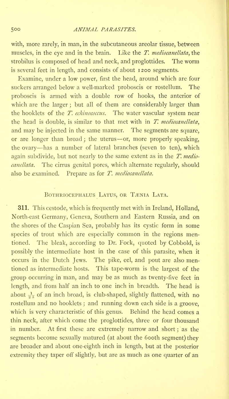 with, more rarely, in man, in the subcutaneous areolar tissue, between muscles, in the eye and in the brain. Like the T. medio canellata^ the strobilus is composed of head and neck, and proglottides. The worm is several feet in length, and consists of about 1200 segments. Examine, under a low power, first the head, around which are four suckers arranged below a well-marked proboscis or rostellum. The proboscis is armed with a double row of hooks, the anterior of which are the larger; but all of them are considerably larger than the hooklets of the T. echinococcus. The water vascular system near the head is double, is similar to that met with in T. mediocanellala, and may be injected in the same manner. The segments are square, or are longer than broad ; the uterus—or, more properly speaking, the ovary—has a number of lateral branches (seven to ten), which again subdivide, but not nearly to the same extent as in the T. medio- canellata. The cirrus genital pores, which alternate regularly, should also be jexamined. Prepare as for T. mediocanellata. BOTHRIOCEPHALUS LATUS, OR TAENIA LATA. 311. This cestode, which is frequently met with in Ireland, Holland, North-east Germany, Geneva, Southern and Eastern Russia, and on the shores of the Caspian Sea, probably has its cystic form in some species of trout which are especially common in the regions men- tioned. The bleak, according to Dr. Fock, quoted by Cobbold, is possibly the intermediate host in the case of this parasite, when it occurs in the Dutch Jews. The pike, eel, and pout are also men- tioned as intermediate hosts. This tape-worm is the largest of the group occurring in man, and may be as much as twenty-five feet in length, and from half an inch to one inch in breadth. The head is about -oV of an inch broad, is club-shaped, slightly flattened, with no rostellum and no hooklets ; and running down each side is a groove, which is very characteristic of this genus. Behind the head comes a thin neck, after which come the proglottides, three or four thousand in number. At first these are extremely narrow and short; as the segments become sexually matured (at about the 600th segment) they are broader and about one-eighth inch in length, but at the posterior extremity they taper off slightly, but are as much as one quarter of an
