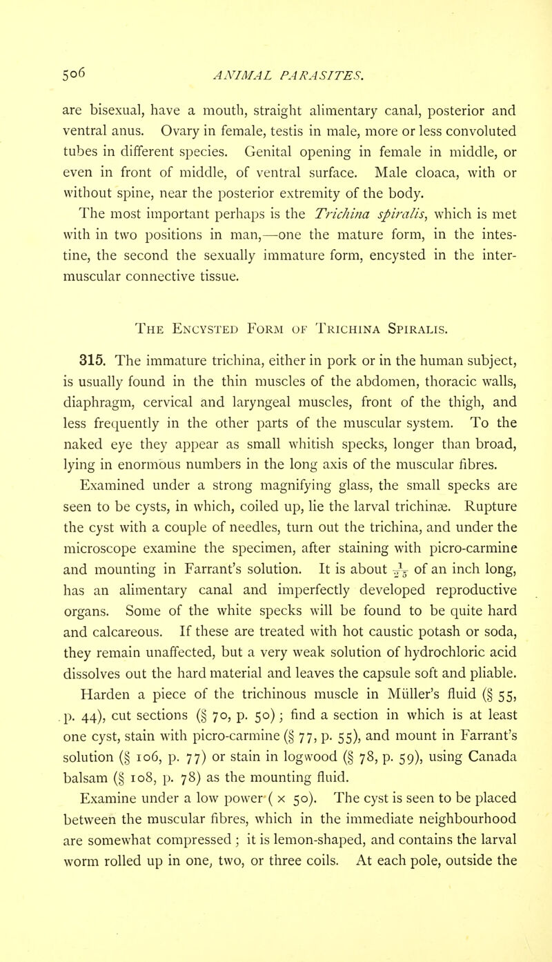 are bisexual, have a mouth, straight alimentary canal, posterior and ventral anus. Ovary in female, testis in male, more or less convoluted tubes in different species. Genital opening in female in middle, or even in front of middle, of ventral surface. Male cloaca, with or without spine, near the posterior extremity of the body. The most important perhaps is the Trichina spiralis, which is met with in two positions in man,—one the mature form, in the intes- tine, the second the sexually immature form, encysted in the inter- muscular connective tissue. The Encysted Form of Trichina Spiralis. 315. The immature trichina, either in pork or in the human subject, is usually found in the thin muscles of the abdomen, thoracic walls, diaphragm, cervical and laryngeal muscles, front of the thigh, and less frequently in the other parts of the muscular system. To the naked eye they appear as small whitish specks, longer than broad, lying in enormous numbers in the long axis of the muscular fibres. Examined under a strong magnifying glass, the small specks are seen to be cysts, in which, coiled up, lie the larval trichinae. Rupture the cyst with a couple of needles, turn out the trichina, and under the microscope examine the specimen, after staining with picro-carmine and mounting in Farrant's solution. It is about ^ of an inch long, has an alimentary canal and imperfectly developed reproductive organs. Some of the white specks will be found to be quite hard and calcareous. If these are treated with hot caustic potash or soda, they remain unaffected, but a very weak solution of hydrochloric acid dissolves out the hard material and leaves the capsule soft and pliable. Harden a piece of the trichinous muscle in Miiller's fluid (§ 55, .p. 44), cut sections (§ 70, p. 50); find a section in which is at least one cyst, stain with picro-carmine (§ 77, p. 55), and mount in Farrant's solution (§ 106, p. 77) or stain in logwood (§ 78, p. 59), using Canada balsam (§ 108, p. 78) as the mounting fluid. Examine under a low power ( x 50). The cyst is seen to be placed between the muscular fibres, which in the immediate neighbourhood are somewhat compressed ; it is lemon-shaped, and contains the larval worm rolled up in one, two, or three coils. At each pole, outside the
