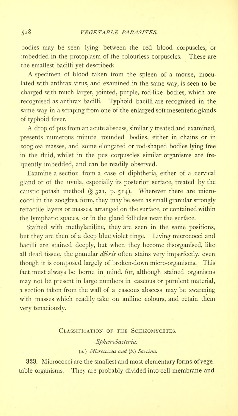 bodies may be seen lying between the red blood corpuscles, or imbedded in the protoplasm of the colourless corpuscles. These are the smallest bacilli yet described^ A specimen of blood taken from the spleen of a mouse, inocu- lated with anthrax virus, and examined in the same way, is seen to be charged with much larger, jointed, purple, rod-like bodies, which are recognised as anthrax bacilli. Typhoid bacilli are recognised in the same way in a scraping from one of the enlarged soft mesenteric glands of typhoid fever. A drop of pus from an acute abscess, similarly treated and examined, presents numerous minute rounded bodies, either in chains or in zooglcea masses, and some elongated or rod-shaped bodies lying free in the fluid, whilst in the pus corpuscles similar organisms are fre- quently imbedded, and can be readily observed. Examine a section from a case of diphtheria, either of a cervical gland or of the uvula, especially its posterior surface, treated by the caustic potash method (§ 321, p. 514). Wherever there are micro- cocci in the zooglcea form, they may be seen as small granular strongly refractile layers or masses, arranged on the surface, or contained within the lymphatic spaces, or in the gland follicles near the surface. Stained with methylaniline, they are seen in the same positions, but they are then of a deep blue violet tinge. Living micrococci and bacilli are stained deeply, but when they become disorganised, like all dead tissue, the granular debris often stains very imperfectly, even though it is composed largely of broken-down micro-organisms. This fact must always be borne in mind, for, although stained organisms may not be present in large numbers in caseous or purulent material, a section taken from the wall of a caseous abscess may be swarming with masses which readily take on aniline colours, and retain them very tenaciously. Classification of the Schizomycetes. Sphcerobacteria. (a.) Micrococcus and {b.) Sarcina. 323. Micrococci are the smallest and most elementary forms of vege- table organisms. They are probably divided into cell membrane and