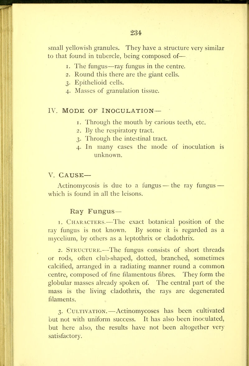 small yellowish granules. They have a structure very similar to that found in tubercle, being composed of— 1. The fungus—ray fungus in the centre. 2. Round this there are the giant cells. 3. Epithehoid cells. 4. Masses of granulation tissue. IV. Mode of Inoculation — 1. Through the mouth by carious teeth, etc. 2. By the respiratory tract. 3. Through the intestinal tract. 4. In many cases the mode of inoculation is unknown. V. Cause— Actinomycosis is due to a fungus — the ray fungus — which is found in all the leisons. Ray Fungus— T. Characters.—The exact botanical position of the ray fungus is not known. By some it is regarded as a mycelium, by others as a leptothrix or cladothrix. 2. Structure.—The fungus consists of short threads or rods, often club-shaped, dotted, branched, sometimes calcified, arranged in a radiating manner round a common centre, composed of fine filamentous fibres. They form the globular masses already spoken of. The central part of the mass is the living cladothrix, the rays are degenerated filaments. 3. Cultivation.—Actinomycoses has been cultivated but not with uniform success. It has also been inoculated, but here also, the results have not been altogether very satisfactory.