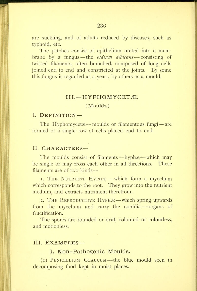 are suckling, and of adults reduced by diseases, such as typhoid, etc. The patches consist of epithelium united into a mem- brane by a fungus—the oidium albicans—consisting of twisted filaments, often branched, composed of long cells joined end to end and constricted at the joints. By some this fungus is regarded as a yeast, by others as a mould. III.—HYPHOMYCET^. (Moulds.) I. Definition— The Hyphomycetaj—moulds or filamentous fungi — are formed of a single row of cells placed end to end. II. Characters— The moulds consist of filaments — hyphas — which may be single or may cross each other in all directions. These filaments are of two kinds— 1. The Nutrient Hyph^ — which form a mycelium which corresponds to the root. They grow into the nutrient medium, and extracts nutriment therefrom. 2. The Reproductive Hyph/e—which spring upwards from the mycelium and carry the conidia — organs of fructification. The spores are rounded or oval, coloured or colourless, and motionless. III. Examples— 1. Non-Pathogenic Moulds. (i) Penicillium Glaucum—the blue mould seen in decomposing food kept in moist places.