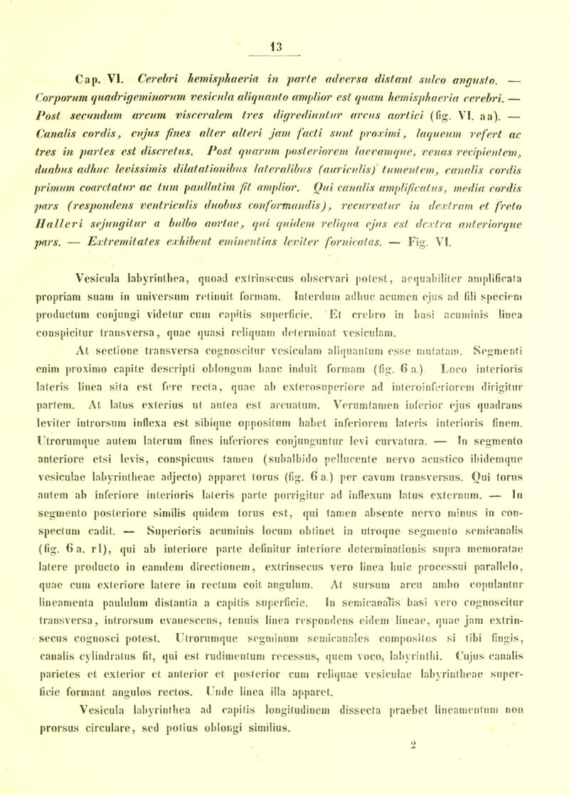 Cap. VI. Cerebri hemisjyhaeria in parfe adversa distant snlco angnsio. — Coiyornm qnadrigeminornm vesicnla aliqnanto amplior est qnam hemispliaeria cerebri. — Post secnndnm arcnm visceralem tres digredinntnr arcns aortici (rig-. VI. aa). — Canalis cordiSj, cnjns fines alter alteri jam facti snnt proximi, laqnenm refert ac tres in partes est disc.retns. Post qnarnm posteriorem laeimmqne, venas recipientem, dnabns adhuc levissimis dilatationibns lateraHbns (auric?dis) tnmentem, canalis cordis primnm coarctatur ac tnm paidlatim fit amplior. Qni cancdis amplificatns, media cordis pars (resjjondens ventricn.Iis duobns conforTna^uIis), recurvatnr in dcxl.ram et freto Halleri sejnngitnr a bulbo aortae, qni quidem reliqua ejus est dcxtra anteriorcpie pars. — Extremitates exhibent eminentias leviter fornicalas. — Fig. VI. Vesicula labyrintliea, quoad csfriiisecus observari potest, aequahiliter ainplificafa propriam suani in uuiversuiu retinuit fo]'niani. Interdum adliuc acumen ejus ad fili specieni productuni conjungi videtur cum capitis superficie. Et crebro in basi acuniinis linea conspicitur transversa, quae quasi reliquani determinat vesiculam. At sectione transversa cognoscitur vesiculani aliquantum esse niutatam. Segmenfi enim proximo capite descripti oblongum lianc induit formam (fig. 6 a.). Loco interioris lateris linea sifa est fere recta, quae ab exterosuperiore ad interoinferiorem dirigitur partem. At lafus exterius ut antea est aicuatum. Verumtamen iiiferior ejus quadrans leviter introrsum inflexa est sibique oppositum babet inferiorem lateris interioris finem. Utrorumque autem laterum fines inferiores conjunguntur levi curvatura. — In segmento anteriore etsi levis, conspicuus tamen (subalbido pellucente nervo acustico ibidemque vesiculae labyrintbeae adjecto) apparet torus (fig. 6 a.) per cavuni transversus. Oui torus autem ab inferiore interioris lateris parte porrigitur ad inflexum latus extcrnum. — In segmento posteriore similis quidem torus cst, qui tanjen absente nervo minus in con- spectum cadit. — Superioris acuminis locum obtinet in utroque segmento semicanalis (fig. 6 a. rl), qui ab interiore parte definitur interiore determinationis supra memoratae latere producto in eamdem directionem, extrinsecus vero linea Iiuic processui parallelo, quae cum exteriore latere in rectuni coit angulum. At sursum arcu anibo copulantur lineamenta paululum distantia a capitis superficie. In semicanalis basi vero cognoscitur transversa, introrsum evanescens, tenuis linea respondens eidem lineae, quae jam extrin- - secus cognosci potest, Utrorumque segminum semicanales compositos si tibi fingis, canalis cylindratus fit, qui est rudimenfum recessus, quem voco, labyrintbi. Cujus canalis parietes et exterior et anterior et posterior cum reliquae vesiculae labyrintbeae super- ficie formant angulos rectos. Unde linea illa apparet. Vesicula labyrintbea ad capifis longitudinem dissecta praebet lineamcnfum non prorsus circulare, scd potius oblongi similius. «)