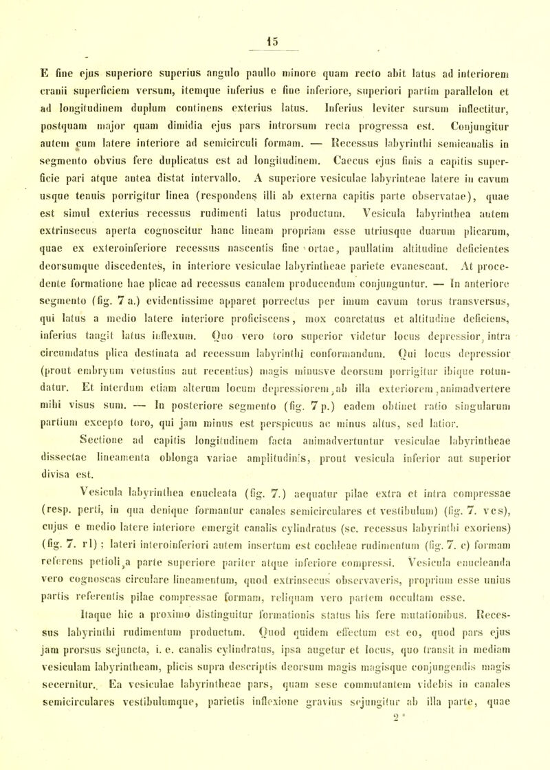 E fine ejus superiore superius angiilo paullo niinore quani recto abit latus ad interioreni cranii superficiem versuni, itenique iuferius e finc iiiferiore, superiori partini parallelon et ad longitudiueni dupluin continens cxterius latus. Inferius leviter sursum inflectitur, postquam mnjor quam dimidia ejus pars introrsuni recta progressa est. Coojungitur auteni cum latere interiore ad semicirculi formam. — Kecessus labyrintlii semicanalis iu segmento obvius fere duplicatus est ad longitudinem. Caecus ejus finis a capitis super- ficie pari atque antea distat intervallo. A superiore vesiculae labyrinteae latere in cavum usque tenuis porrigitur linea (respondens illi ab externa capitis parte observatne), quae est simul exterius recessus rudimenti latus productum. Vesicula labyrintliea autem extrinsecus aperta cognoscitur hanc lineam propriam esse utriusque duarum plicarum, quae ex exleroinferiore recessus nascentis fine ortae, paullatim altitudine deficientes deorsumque discedentes, in interiore vesiculae labyrintheae pariete evanescant. At proce- dente formationc hae plicae ad recessus canalem produccndnn! conjunguntur. — In anteriore segmento (fig. 7 a.) evidentissime apparet porrectus per iiiium cavum torus transversus, qui latus a mcdio latcre interiore proficiscens, mox coarctatus et altitudiae deficiens, inferius tangit latus iiiflexuni. Ouo vero toro superior videtur locus deprcssior^ intra circumdatus plica destinata ad recessum labyrinthi conformandum. Oui locus depressior (prout enibi-yum vetuslius aut recentius) niagis minusve deorsum jiorrigitiir i!)if|ue rotun- datur. Et inlerdiim etiam altcrum locunj depressiorem .ab illa exteriorem , animadvertere mihi visus sum. — In posteriore segmento (fig. 7p.) eadem obtiuet ratio singularum partium excepto toro, qui jam minus est perspicuus ac minus altus, sed latior. Sectione ad capifis longitudinem facta aiiimadvertuntur vesiculae labyrintheae dissectae lineanienta oblonga variae amplitudinis, prout vesicula inferior aut superior divisa est. Vesicula labyrinthea enucleala (fig. 7.) aequatur pilae extra et intra compressae (resp. perti, in qua dcnique formantur canalcs semicirculares et vesfibulum) {fig.7. vcs), cujus e medio latcre interiore cmcrgit canalis cylindratus (sc. rccessus labyrintlii exoriens) (fig. 7. rl) ; lateri inferoinferiori autem insertum est cochleae rudimenfum (fig. 7. c) formam retcrens petioli^a parte superiore paritcr atque inferiore coniprcssi. Vesicula enucleanda vero cognoscas circulare lineanientum, quod extrinsccus observaveris, proprium esse unius partis referentis pilae compressae formam, reliquam vero partem occultam esse, Itaque hic a proximo distinguifur formationis stafus his fere niutationibus. Reces- sus labyrintlii rudimentum productum. Ouod quidem efi^ectum est eo, quod pars ejus jam prorsus sejuncta, i. e. canalis cylindratus, ipsa augetur et Io(his, quo fransit in mediam vesiculam labyrintheam, plicis supra descriptis deorsum magis magisque coojungendis magis secernitur,. Ea vesiculae labyrinthcae pars, quam sese commutantem videbis in canales semicirculares vestibulumque, parietis inflexione gravius sejungifur ab iila parte, quae 2 '