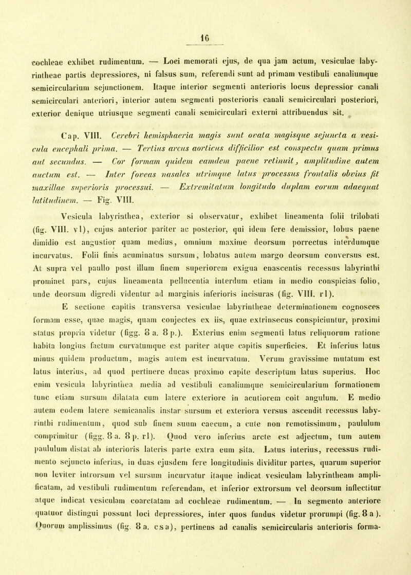 cochleae exliibet rudimentura. — Loci memorati ejus, de qua jam actum, vesiculae laby- rintheae partis depiessiores, ni falsus sum, referendi sunt ad primam vestibuli canaliumque semicircularium sejunctionem. Itaque interior segmenti anterioris locus depressior canali semicirculari anteriori, interior autem segraenti posterioris canali seraicirculari posteriori, exterior denique utriusque segraenti canali semicirculari externi attribuendus sit. Cap. VIII. Cerebri liemispliaei^ia magis sunt ovata magisque sejunvta a vesi- cula encephali prima. — Tertius arcus aorticus difficilior est conspectn quam primiis aut secundus. — Cor formam quidem eamdem puene retinuit, amplitudine autem auctum est. — Inter foveas nasales ntrimque latus processus frontalis ohvius fit viaxillae su.perioris processui. — Extremitatum longitudo duplam eorum adaequat latitudinem. — Fig. Vlil. Vesicula labyrinthea, exterior si observatur, exliibet lineamenta folii trilobati (fla;. VIII. vl), cujus anterior pariter ac posterior, qui idem fere demissior, lobus paene dimidio est augustior quam niedius, oranium raaxime deorsura porrectus interdumque iucurvatus. Folii finis acurainatus sursuni, lobatus autem raargo deorsura conversus est. At supra vel paullo post illum fmera superiorera exigua enascentis recessus labyrinthi proniinet pars, cujus lineainenta pelhicentia interdura etiani in niedio conspicias folio, unde deorsum digredi videntur ad niarginis inferioris incisuras (fig. VIlI. rl). E sectione capitis transversa vesiculae labyrintheae determinationcra cognosces formain esse, qnae niagis, quam conjectes ex iis, quae extrinsecus conspiciuntur, proxirai status propria videtur (figg. 8 a. 8p.). Exterius eniin segmenti latus rehquorura ratione liabita longius factura curvatunique est pariter atque capitis superficies. Et inferius latus minus quidein productuni, magis autem est iiicurvatuni. Veruni gravissinie mutatum est latus interius, ad quod pertinere ducas proximo capite descriptura latus superius. Hoc eiiira vesicula hibyrintiiea niedia ad vestibuli canaliumque semicircularium formationeni tuiic etiam sursuui dilatata cum latere exteriore in acutiorem coit angulum. E medio auteni eodera latere semicanalis instar sursuni et exteriora versus ascendit recessus laby- rinthi rudiraentuni, quod sub finem suum caecuni, a cute non reraotissimuin, pauluUim conipriniitur (figg. 8a. 8p. rl). Ouod vero inferius arcte est adjectuin, tum autern paululuin distat ab interioris lateris parte extra euni sita. Latus interius, recessus rudi- mento sejuncto inferius, in duas ejusdem fere longitudinis dividitur partes, quarum superior non leviter introrsum vei sursura incurvatur itaque indicat vesiculam labyrintheam arapli- ficatain, ad veslibuli rudinientuin referendam, et inferior extrorsura vel deorsum inflectitur atque indicat vesiculam coarctatam ad coclileae rudiraentum. — In segmento anteriore quatuor distingui possunt ioci depressiores, inter quos fundus videtur prorumpi (fig. 8 a ). Quorum aniplissimus (fig. 8 a. csa), pertinens ad canalis semicircularis anterioris forma-