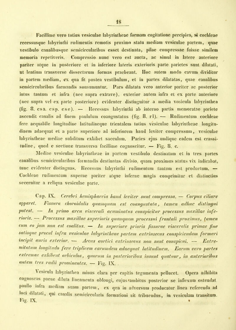 » Facillimc vero totius vesiculae labyrintheae formam cogitatione percipies, si cochleae recessusque labyrintlii rudimentis remotis proximo statu mediam vesiculae partem, quae vestibulo cmalibusquc semicircularibus esset destinata, pilae compressae fuisse simileni memoria repetiveris. Compressio nunc vero est aucta, ac simul in latere anteriore pariter atque in posteriore et in inferiore lateris exterioris parte parietes sunt dilatati, ut lentium transverse dissectaruni formas praebeant. Hoc autem modo cavum dividitur in partem mediam, ex qua fit postea vestibulum, et in partes dilatatas, quae canalibus semicircularibus formandis sonsumuntur. Pars dilatata vero anterior pariter ac posterior intus tantun» et infra (nec supra extrave), exterior autem infra et ex parte anteriore (nec supra vel ex parte posteriore) evidenter distinguitur a media vosicula labyrinthea (fig. 8. csa. csp. cse). — Recessus labyrinthi ab interno partis memoratae pariete ascendit canalis ad finem paululum coangustatus (fig. 8. rl). — Rudimentum cochleae fere aequabiie longitudine latitudineque trientalem totius vesiculae labyrintheae longitu- dinem adaequat et a parte superiore ad inferiorem haud leviter compressum, vesiculae labyrintheae mediae subditum exhibet sacculum. Paries ejus undique eadem est crassi- tudine, quod e sectione transversa facillinie cognoscitur. — Fig. 8. c. Mediae vesieulae labyrintheae in partem vestibulo destinatam et iu tres partes canalibus semicircularibus foimandis destinatas divisio, quam proximus status vix indicabat, tunc evidenter distinguas. Recessus labyrinthi rudimentum tantum est productum. — Cochleae rudimentum superne pariter atque inferne magis comprimitur ct distinclius secernitur a rcliqua vesiculae parte. Cap. IX. Cerebri hemisphaeria haud leviler sunt compressa. — Corpus ciliare apparet. Fissura cho7'oidalis quamquam est coangustata, tamen adhuc distingui potest. — In primo arcu viscerali acuminatus conspicitur processus maxillae infe- rioris. — Processus maxillae superioris quamquam processui frontali proximuSj, tamen cum eo jam non est coalitus. — In superiore p?'ioris fissurae visceralis primae fine satisque pj'ocul infra vesictdae lahyrintheae partem extrinsecus conspiciendatn formari incipit auris cxterior. — Arcus aorlici extrinsecus non sunt conspicui. — Extre- mitatum longitudo fere triplicem earumdem adaequat latitudinem. Earum vero partes extremae exhibent orbiculos, quorum in posterioribus insunt quatuor, in anteriorihus autem tres radii prominentes. — Fig. IX. . Vcsicula labyrintliea miuus clara per capitis tegumenta pellucet. Opera adhibita cognoscas paene diluta lineamenta oblongi, cujus fambitus posterior se inflexum ostendat paullo infra mediam suam partem , ex qi-a in adversum producatur linea referenda ad loci dilatati, qui canalis semicircularis formationi sit tribuendus, in vesiculara transitura. Fis. IX. •