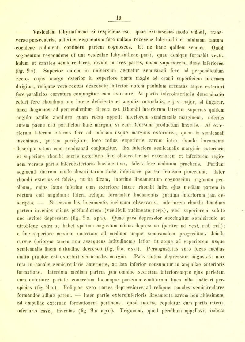 Vesiculam labyrintljeam si lespiciens ea, quae extrinsecus modo vidisti, tians- verse persecueris, anterius segmentum fere nullam recessus labyrinthi et minimam tantum cochleae rudimenti continere partem cognosces. Et ne hanc quideni semper. Ouod segmentum respondens ei uni vesiculae labyrintheae parti, quae denique formahit vesti- bulura et canales semicirculares, divido in tres partes, unam superiorem, duas inferiores (fig. 9 a). Superior autem in nniversum aequatur semicanali fere ad perpendiculum recto. cujus margo exterior in superiore parte magis ad cranii superGciem internam dirigitur, reliqnus vero rcctus descendit: interior autem paululum arcuatus atque exteriori fere paralleios curvatura conjungitur cum exteriore. At partis inferointerioi is determinatio refert fere rhonibum uno latere deficiente et anguiis rofundatis, cujus major, si fingatur, linea diagonios ad pcrpendiculum dirccta est. Rhombi interiorum laterum superius quidem angulo paullo ampliore quam recto appetit interiorem semicanah's marginem, inferius autem paene erit parallelon liuic margini, si eum deorsum productura finxeris. At exte- riorura laterum inferius fere ad infimam usque margiuis exterioris, quem in semicanali invenimus, parteni porrigitur: loco totius superioris cavum intra rhomhi lineamenta descripta situm cura semicanali conjungitur. Ex inferiore semicanalis marginis exterioris et superiore rhomhi lateris exterioris fine ohservatur ad exteriorem et inferiorem regio- nem versus partis inferoexterioiis lineanientum, falcis fere amhitum praehens. Partium segmenti duarum modo descriptarura fines inferiores pariter deorsum procedunt. Inter rhombi exterius et falcis, ut ita dicam, interius lineamentum cognoscitur trigonum per- alhum, cujus latus inferius cum exteriore latere rhomhi infra ejus mediam partem in rectura coit anguliim : latera reliqua formantur lineamentis partium inferiorum jam de- scriptis. — Si cavum his lineamentis inclusum observaris, inleriorem rliombi dimidiam partem invenies minus profundiorem (vestihuli rudimento resp ), sed superiorem subito nec leviter dcpressam (fig, 9 a. apa). Ouae pars depressior succingitur semicirculo et utrobique extra se hahet spatium angustuni minns depressura (pariter ad vest. rud. ref); e fine superiore maxime coarctato ad medium usque semicanalem progreditur, deinde rursus (priorem tamen non assequens iatitudinem) latior fit atque ad superiorera usque semicaualis fincm altitudine decrescit (fig. 9 a. csa). Perangustatus vero iocus medius multo propior est exteriori semicanalis margini. Pars autem depressior angustata mox tota in canalis semicircularis anterioris, ac lata inferior consumitur in arapullae anterioris formatione. Interdum mediam partera jani omnino secretani interioremque ejus parietem cum exteriore pariete concretura locumque parietum coalitorum linea alba indicari per- spicias (fig. 9 a.). Reliquae vero partes depressiores ad reliquos canales semicirculares formandos adhuc pafent. — Inter partis exteroinferioris lineamenta cavum non alfissimum, ad ampullae externae formationem perfinens, quod interne copulatur cum partis intero- inferioris cavo, invenias (fig. 9a ape). Trigonum, quod peralbuni appellavi, indicat