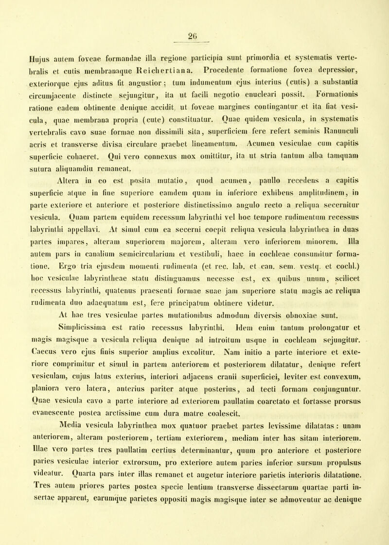 Hujus autem foveae formandae illa reglone participia sunt priraordia et systematis verte- bralis et cutis membranaque Reichertiana. Procedente formatione fovea depressior, exteriorque ejus aditus fit angustior; tum indumentum ejus interius (cutis) a substantia circumjacente distincte sejungitur, ita ut facili negotio enucleari possit. Formationis ratione eadem obtiuente denique accidit, ut foveae margines contingantur et ita fiat vesi- cula, quae merabrana propria (cute) constituatur. Ouae quidem vesicula, in systematis vertebralis cavo suae formae non dissimili sita, superficiem fere refert seminis Ranunculi acris et transverse divisa circulare praebet lineamentum. Acumen vesiculae cum capitis superficie cobaeret. Oui vero connexus mox omittitur, ita ut stria tantum alba tamquam sutura aliquamdiu remaneat. Altera in eo est posita mutatio, quod acumen, panllo recedens a capitis superficie atque in fme supcriore eamdem quam in inferiore exbibens amplitudinem, in parte exteriore et anteriore et posteriore distinctissimo angulo recto a reliqua secernitur vesicula. Ouam partem equidem recessum labyrintlii vel boc tempore rudimentum recessus labyrintlii appeliavi. At sinuil cum ea secerni coepit reliqua vesicula iabyrintbea in duas partes impares, alteram superiorem majorem, alteram vero inferioreni minorem. llla autem pars iu canab'um semicircuku*ium ct vestibub, liaec in coclileae consumitur forma- tione. Ergo tria ejusdem momenti rudimenta (et rec. lab. et can, sem. vestq. et cocbl.) hoc vesiculae labyrintheae statu distiuguamus necesse est, ex quibus unum, scilicet recessus labyriutlii, quatenus pracsenti formae suae jan« superiore statu magis ac reliqua rudimenta duo adaequatum est, fere principatum obtinere videtur. At bae tres vesiculae partes mutationibus admodum diversis obnoxiae sunt. Simplicissima est ratio recessus labyrinthi. Idem enim tantum prolongatur et magis magisque a vesicula reliqua denique ad introitum usque iu cochleam sejungitur. Caecus vero ejus finis superior amplius excolitur. Nam initio a parte interiore et exte- riore comprimitur et simul in partem anteriorem et posteriorem dilatatur, denique refert vesiculam, cujus latus exterius, interiori adjacens cranii superficiei, leviter est convexum, planiorn vero latera, anterius pariter atque posterius, ad tecti formam conjunguntur. Ouae vesicula cavo a parte interiore ad exteriorem paullatim coarctato et fortasse prorsus evanescente postea arctissime cum dura matre coalescit. Media vesicula labyrinthea mox quatuor praebet partes levissime dilatatas : unam anteriorem, alteram posteriorem, tertiam exteriorem, mediam inter has sitau! interiorem. lllae vero partes tres paullatim certius determinantur, quum pro anteriore et posteriore paries vesiculae intei ior extrorsum, pro exteriore autem paries inferior sursum propulsus videatur. Ouarta pars inter illas remanet et augetur interiore parietis interioris dilatatione. Tres autem priores partes postea specie lentium transverse dissectarum quartae parti in- sertae apparent, earumque parietes oppositi magis magisque inter se admoventur ac denique