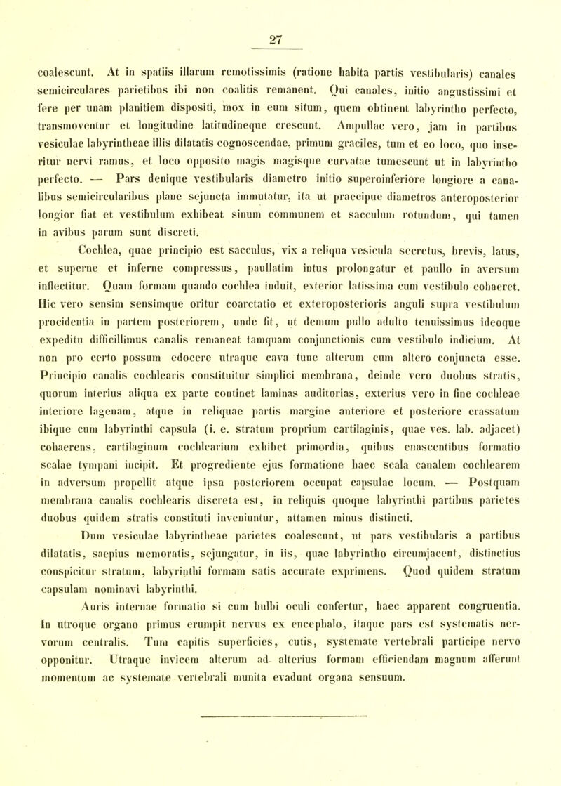 coalescunt. At in spatiis illarum remotissimis (rationc liabita partis vestibularis) canales scmicirculares parietibus ibi non coalitis remanent. Oui canales, initio angustissimi et fere per unam planitiem dispositi, mox in eum situm, qucm obtinent labyrintbo perfecto, transmoventur et longitudine latitudineque crescunt. Ampullae vero, jam in partibus vesiculae labyrintheae illis dilatatis cognoscendae, primum graciles, tum et eo loco, quo inse- ritur nervi ramus, et loco opposito mogis magisque curvatae tumescunt ut in labyrintho perfecto. — Pars denique vestibularis diametro initio superoinferiore longiore a cana- libus semicircularibus plane sejuncta immutatur. ita ut praecipue diametros anteroposterior longior fiat et vestibulum exbibeat siimm communem et sacculum rotundum, qui tamen in avibus parum sunt discreti. Cocblea, quae pi incipio est sacculus, vix a reliqua vesicula secretus, brevis, latus, et superne et inferne compressus, ])aullatim intus prolongatur et paullo in aversum inflectitur. Ouani formam quando cocblea induit, exterior latissima cum vestibulo cobaeret. Hic vero sensim sensimque oritur coarctatio et exferoposterioris anguli supia vestibulun) jirocidentia in partem posteriorem, unde fit, ut denium pullo adulto tenuissimus ideoque expeditu difficillimus canalis remaneat tamquam conjunctionis cum vcstibulo indicium. At non pro certo possum edocere utraque cava tunc altcrum cum altero conjuncta csse. Principio canalis coclilearis constituitur simplici membrana, deinde vero duobus stratis, quorum interius aliqua ex parte continet laminas auditorias, exterius vero in fine coclileae interiore lagenam, atque in reliquae partis margine anteriore et posteriore crassatum ibiquc cum labyrintbi capsula (i. e. stratum proprium cartilaginis, quae ves. lab. adjacet) cobaerens, cartilaginum cocblcarium exbibct primordia, quibus enascentibus formatio scalae tympani incipit, Et progrcdiente ejus formatione baec scala canalem cocblearem in adversum propellit atque ipsa posteriorem occupat capsulae locum, — Postquam membrana canalis cocblearis discreta est, in reliquis quoque labyrintbi partibus parietes duobus quidcm stratis constituti inveniuntur, attamen minus distincti. Dum vesiculae labyrintlieae parietes coalescunt, ut pars vestibularis a partibus dilatatis, saepius memoratis, scjungatur, in iis, quae labyrintbo circumjaccnt, distinctius conspicitur stratum, labyiintbi formam satis accurate exprimens, Ouod quidem stratum capsulam nominavi labyrinthi, Auris internae formatio si cum l)ulbi oculi confertur, haec apparent congruentia. In utroque organo primus erumpit nervus cx encepbalo, itaque pars est systematis ner- vorum centralis. Tum capitis superficies, culis, systemate vertebrali participe nervo opponitur. Utraque invicem alterum ad alterius formam efficiendam magnum afferunt momentum ac systemate vertebrali munita evadunt organa sensuum.