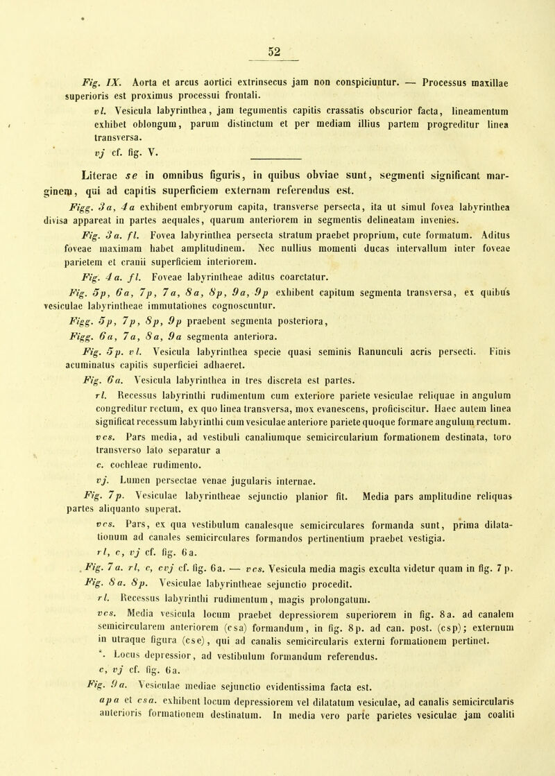 Fig. IX. Aorta et arcus aortici extrinsecus jam non conspiciuntur. — Processus maxillae superioris est proxiraus processui frontali. vl. Vesicula labyrinthea, jara tegumentis capitis crassatis obscurior facta, lineamentum exhibet oblongura, parum distinctum et per mediam illius partem progreditur linea transversa. vj cf. fig. V. Literae se in omnibus figuris, in quibus obviae sunt, segmenti significant mar- ginciu, qui ad capitis superficiem externam referendus est, Figg. 3a, 4a exhibent embrjorum capita, transverse persecta, ita ut simul fovea labyrinthea divisa appareat in partes aequales, quarum anteriorem in segmentis delineatam invenies. Fig. 3 a. fl. Fovea lal)yrinthea persecta stratum praebet proprium, cute forraatum. Aditus foveae raaximara habet araplitudinera. Nec nullius raoraenti ducas intervaliura inter foveae parieteni et cranii superflciem interiorem. Fig. 4 a. fl. Foveae labyrintheae aditus coarctatur. Fig. 5p, 6a, 7p, 7a, 8a, 8p, 9a, 9p exhibent capitura segmenta transversa, ex quibus vesiculae labyrintheae irarautationes cognoscuntur. Figg. '5p, 7p, 8p, 9p praebent segmenta posteriora, Figg. 6a, 7a, 8a, 9a segmenta anteriora. Fig. 5p. vl. Vesicula labyrinthea specie quasi seminis Ranunculi acris persecti. Finis acuminatus capitis superficiei adhaeret. Fig. 6a. Vesicula labyrinthea in tres discreta est partes. rl. Recessus labyrinthi rudimentum cura exteriore pariete vesiculae reliquae in angulura congreditur rcctum, ex quo linea transversa, mox evanescens, proficiscitur. Haec autem linea signiflcat recessum labyrinthi cum vesiculae anteriore pariete quoque formare angulura rectum. vcs. Pars media, ad vestibuli canaliunique semicircularium formationem destinata, toro transverso lato separatur a c. cochleae rudimento. vj. Luraen persectae venae jugularis internae. Fig. 7p. Vesiculae labyrintheae sejunctio planior flt. Media pars amplitudine reliquas partes aliquanto superat. vvs. Pars, ex qua vestibulum canalesque semicirculares formanda sunt, prima dilata- tionum ad canales semicirculares forraandos pertinentium praebet vestigia. rl, c, vj cf. fig. 6a. , Fig. 7a. rl, c, cvj cf. flg. 6a. — vcs. Vesicula media magis exculta videtur quam in fig. 7 p. Fig. 8a. 8p. Vesiculae labyrintheae sejunctio procedit. rl. Recessus labyrinthi rudimentum, raagis prolongatum. vcs. Media vesicula locura praebet depressiorem superiorem in fig. 8a. ad canalem semicirculareni anteriorem (csa) forraandura, in fig. 8p. ad can. post. (csp); externum in utraque figura (cse), qui ad canalis semicircularis externi forraationem pertinet. ^ Locus depressior, ad vestibulum forraandum referendus. c, vj cf. fig. 6a. Fig. 9a. Vesiculae mcdiae sejunctio evidentissiraa facta est. apa et csa. exhibent locura depressiorera vel dilatatura vesiculae, ad canalis seraicircularis anterioris formationem destinatum. In media vero parte parietes vesiculae jara coaliti