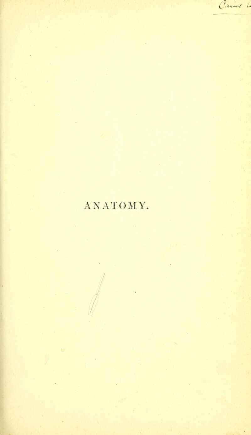 ANATOMY.