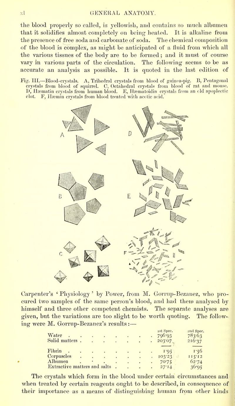 the blood properly so called, is yellowish, and contains so much albumen that it solidifies almost completely on being- heated. It is alkaline from the presence of free soda and carbonate of soda. The chemical composition of the blood is complex, as might be anticipated of a fluid from which all the various tissues of the body are to be formed; and it must of course vary in various parts of the circulation. The following seems to be as accurate an analysis as possible. It is quoted in the last edition of Fig-. III.—Blood-crystals. A, Trihedral crystals from blood of guinea-pig. B, Pentagonal crystals from blood of squirrel. C, Octahedral crystals from blood of rat and mouse. I), Hsematin crystals from human blood. E, Hrematoidin crystals from an old apoplectic clot. F, Hsemin crystals from blood treated with acetic acid. Carpenter's ' Physiology ' by Power, from M. Gorrup-Bezanez, who pro- cured two samples of the same person's blood, and had them analysed by himself and three other competent chemists. The separate analyses are given, but the variations are too slight to be worth quoting. The follow- ing were M. Gorrup-Bezanez's results :— ist Spec. 2nd Spec. Water 796-93 783-63 Solid matters ....... 203-07 2I6*37 Fibrin 1-95 1-56 Corpuscles 103-23 115-12 Albumen . 7075 62-74 Extractive matters and salts .... 27-14 36*95 The crystals wdiich form in the blood under certain circumstances and when treated by certain reagents ought to be described, in consequence of their importance as a means of distinguishing human from other hinds