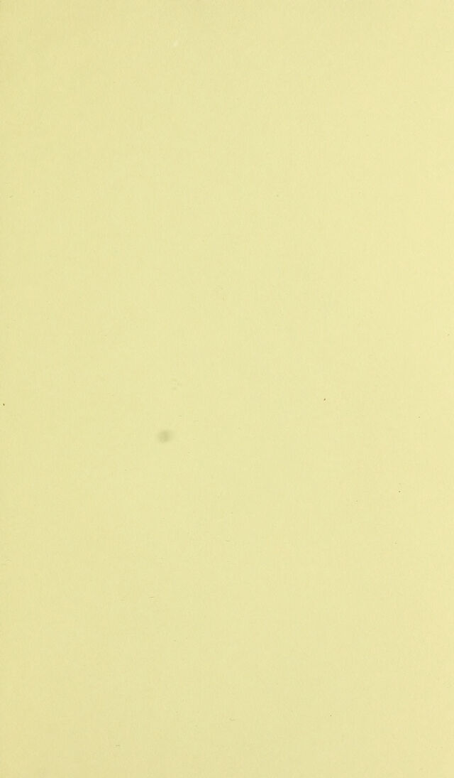 digitised image 3
