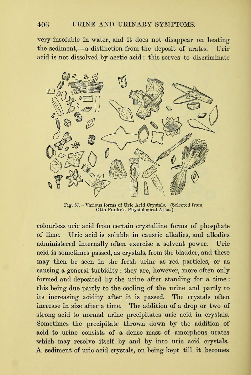 very insoluble in water, and it does not disappear on heating the sediment,—a distinction from the deposit of urates. Uric acid is not dissolved by acetic acid : this serves to discriminate Fig. 57. —Various forms of Uric Acid Crystals. (Selected from Otto Funke's Physiological Atlas.) colourless uric acid from certain crystalline forms of phosphate of lime. Uric acid is soluble in caustic alkalies, and alkalies administered internally often exercise a solvent power. Uric acid is sometimes passed, as crystals, from the bladder, and these may then be seen in the fresh urine as red particles, or as causing a general turbidity : they are, however, more often only formed and deposited by the urine after standing for a time : this being due partly to the cooling of the urine and partly to its increasing acidity after it is passed. The crystals often increase in size after a time. The addition of a drop or two of strong acid to normal urine precipitates uric acid in crystals. Sometimes the precipitate thrown down by the addition of acid to urine consists of a dense mass of amorphous urates which may resolve itself by and by into uric acid crystals. A sediment of uric acid crystals, on being kept till it becomes