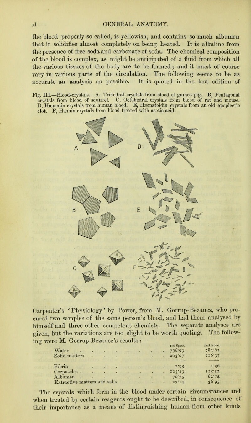 the blood properly so called, is yellowish., and contains so much albumen that it solidifies almost completely on being heated. It is alkaline from the presence of free soda and carbonate of soda. The chemical composition of the blood is complex, as might be anticipated of a fluid from which all the various tissues of the body are to be formed; and it must of course vary in various parts of the circulation. The following seems to be as accurate an analysis as possible. It is quoted in the last edition of Fig. III.—Blood-crystals. A, Trihedral crystals from blood of guinea-pig. B, Pentagonal crystals from blood of squirrel. C, Octahedral crystals from blood of rat and mouse. ~D, Hsematin crystals from human blood. E, Heematoidin crystals from an old apoplectic clot. F, Haemin crystals from blood treated with acetic acid. Carpenter's < Physiology' by Power, from M. Gorrup-Bezanez, who pro- cured two samples of the same person's blood, and had them analysed by himself and three other competent chemists. The separate analyses are given, but the variations are too slight to be worth quoting. The follow- ing were M. Gorrup-Bezanez's results :— i st Spec. and Spec. Water 796'93 7^3'63 Solid matters 203-07 216-37 Fibrin . i95 x56 Corpuscles 103-23 115'12 Albumen 7°'75 6z74 Extractive matters and salts . . . . 27-14. 3 6'9 5 The crystals which form in the blood under certain circumstances and when treated by certain reagents ought to be described, in consequence of their importance as a means of distinguishing human from other kinds