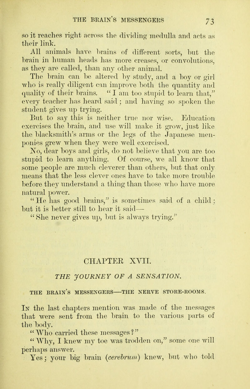 THE brain's MESSENCtEKS so it reaches right across tlie dividing medulla and acts as their link. All animals have hrains of different sorts, hut tlie hrain in human heads has more creases, or convolutions, as they are called, than any other animal. The hrain can he altered hy study, and a hoy or girl who is really diligent can improve hoth the quantity and quality of their hrains.  I am too stupid to learn that,'' every teacher has heard said; and having so spoken the student gives up trying. But to say this is neither true nor wise. Education exercises the hrain, and use will make it grow, just like the hlacksmith's arms or the legs of the Japanese men- ponies grew when they were well exercised. ^^o, dear hoys and girls, do not helieve that you are too stupid to learn anything. Of course, we all know that some people are much cleverer than others, hut that only means that the less clever ones have to take more trouhle hefore they understand a thing than those who have more natural power.  He has good hrains, is sometimes said of a child; hut it is hetter still to hear it said— She never gives up, hut is always trying.'' CHAPTEE XYII. THE JOURNEY OF A SENSATION. THE brain's messengers THE NERVE STORE-ROOMS. In the last chapters mention was made of the messages that Avere sent from the hrain to the various parts of the hody, Who carried these messages'?  Why, I knew my toe was trodden on, some one w^ill perhaps answer. Yes; your hig hrain (cerehrum) knew, Init who told