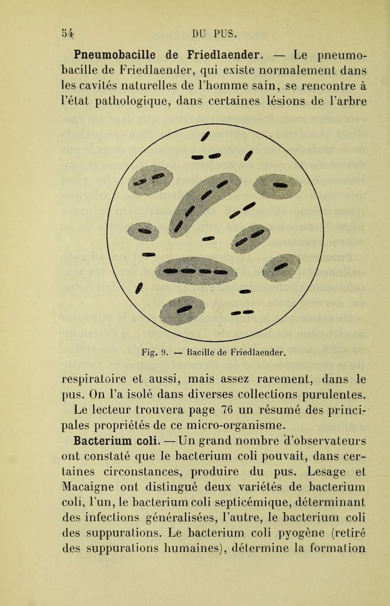 Pneumobacille de Friedlaender. — Le pneumo- bacille de Friedlaender, qui existe normalement dans les cavités naturelles de l'homme sain, se rencontre à l'état pathologique, dans certaines lésions de l'arbre Fig. 9. — Bacille de Friedlaender. respiratoire et aussi, mais assez rarement, dans le pus. On Fa isolé dans diverses collections purulentes. Le lecteur trouvera page 76 un résumé des princi- pales propriétés de ce micro-organisme. Bacterium coli. —Un grand nombre d'observateurs ont constaté que le bacterium coli pouvait, dans cer- taines circonstances, produire du pus. Lesage et Macaigne ont distingué deux variétés de bacterium coli, l'un, le bacterium coli septicémique, déterminant des infections généralisées, l'autre, le bacterium coli des suppurations. Le bacterium coli pyogène (retiré des suppurations humaines), détermine la formation