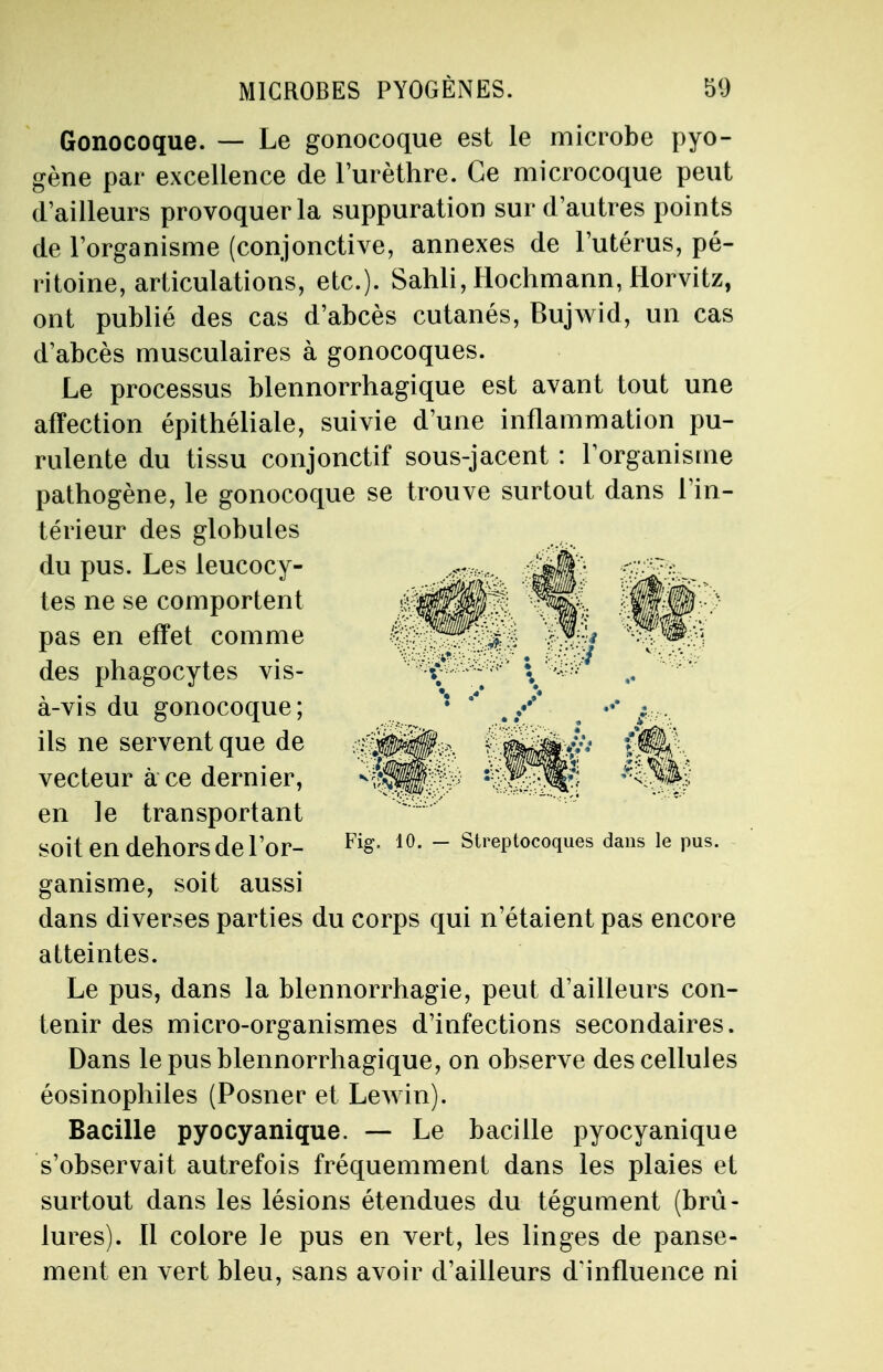 Gonocoque. — Le gonocoque est le microbe pyo- gène par excellence de l'urèthre. Ce microcoque peut d'ailleurs provoquer la suppuration sur d'autres points de l'organisme (conjonctive, annexes de l'utérus, pé- ritoine, articulations, etc.). Sahli,Hochmann,Horvitz, ont publié des cas d'abcès cutanés, Bujwid, un cas d'abcès musculaires à gonocoques. Le processus blennorrhagique est avant tout une affection épithéliale, suivie d'une inflammation pu- rulente du tissu conjonctif sous-jacent : l'organisme pathogène, le gonocoque se trouve surtout dans l'in- térieur des globules du pus. Les leucocy- tes ne se comportent pas en effet comme des phagocytes vis- à-vis du gonocoque; ils ne servent que de vecteur à ce dernier, en le transportant Soit en dehors de l'or- FiS- 10- ~ Streptocoques dans le pus. ganisme, soit aussi dans diverses parties du corps qui n'étaient pas encore atteintes. Le pus, dans la blennorrhagie, peut d'ailleurs con- tenir des micro-organismes d'infections secondaires. Dans le pus blennorrhagique, on observe des cellules éosinophiles (Posner et Lewin). Bacille pyocyanique. — Le bacille pyocyanique s'observait autrefois fréquemment dans les plaies et surtout dans les lésions étendues du tégument (brû- lures). Il colore le pus en vert, les linges de panse- ment en vert bleu, sans avoir d'ailleurs d'influence ni
