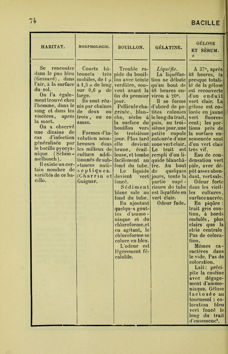 BACILLE HABITAT. Se rencontre dans le pus bleu (Gessard) , dans l'air, à la surface du sol. On l'a égale- ment trouvé chez l'homme, dans le sang et dans les viscères, après la mort. On a observé une dizaine de cas d'infection généralisée par le bacille pyocya- nique ( Schim - melbusch). Il existe un cer- tain nombre de variétés de ce ba- cille. MORPHOLOGIE. Courts bâ- tonnets très mobiles, de 1 \x à 1,5 u. de long sur 0,6 jx de large. Ils sont réu- nis par chaînes de deux ou trois , ou en amas. Formes dé- volution nom- breuses dans les milieux de culture addi- tionnés de sub- stances anti- septiques. (Gharrin et Guignar. BOUILLON. Trouble ra- pide du bouil- lon avec teinte verdâtre, sou- vent avant la fin du premier jour. Pellicule cha- grinée , blan- che, sèche à la surface du bouillon vers le troisième jour. Plus tard elle devient brune, écail- leuse, et tombe facilement au fond du tube. Le liquide devient vert foncé. Sédiment blanc sale au fond du tube. En ajoutant quelques gout- tes d'ammo- niaque et du chloroforment en agitant, le chloroforme se colore en bleu. L'odeur est légèrement fé- caloïde. GÉLATINE. Liquéfie. La liquéfac- tion ne débute qu'au bout de 48 heures en- viron à 20°. Il se forme d'abord de pe- tites colonies le long du trait, puis, au troi- sième jour.une petite cupule entourée d'une zone vert clair. Le trait est rempli d'un li- quide blanchâ- tre. Au bout de quelques jours, toute la partie supé - rieure du tube est liquéfiée en vert clair. Odeur fade. GÉLOSE ET SÉRUM. A 37°, après 48 heures, la presque totali- té de la gélose est recouverte d'un enduit vert clair. La gélose est co- lorée en jaune vert fluores- cent; les por- tions près de la surface en- semencée sont d'un vert clair très vif. Eau de con- densation vert pâle, avec dé- pôt assez abon- dant, vertsale. Odeur forte dans les vieil- les cultures, surface nacrée. En piqûre : trait gris con- tinu, à bords ondulés, plus clairs que la strie centrale Pas de colora- tion. Mêmes ca- ractères dans le vide. Pas de coloration. Lait : préci- pite la caséine avec dégage- ment d'ammo- niaque. Gélose lactosée au tournesol : co- loration bleu vert foncé le long du trait d'ensemenc*.