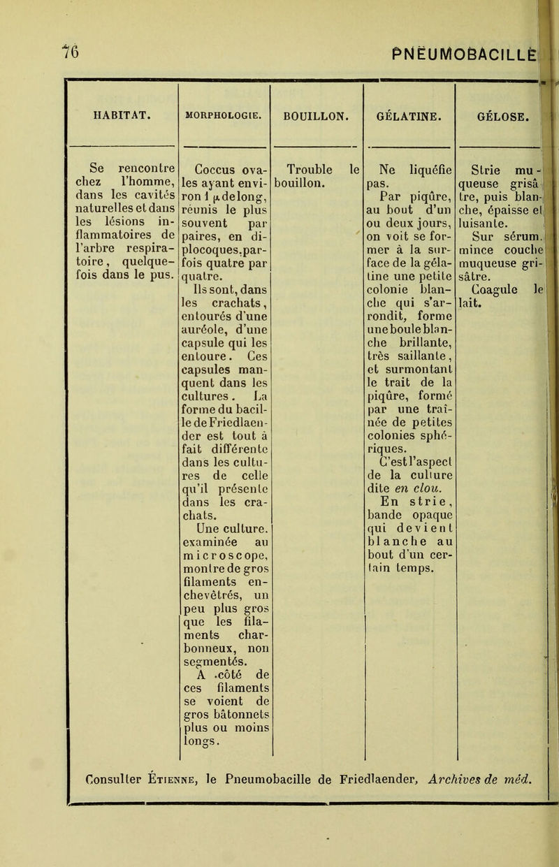 Se rencontre chez l'homme, dans les cavités naturelles et dans les lésions in- flammatoires de l'arbre respira- toire, quelque- fois dans le pus. MORPHOLOGIE. Coccus ova- les ayant envi- ron 1 (xdelong, réunis le plus souvent par paires, en di- plocoques. par- fois quatre par quatre. Ils sont, dans les crachats, entourés d'une auréole, d'une capsule qui les entoure. Ces capsules man- quent dans les cultures. La forme du bacil- le de Friedlaen- der est tout à fait différente dans les cultu- res de celle qu'il présente dans les cra- chats. Une culture, examinée au microscope, montre de gros filaments en- chevêtrés, un peu plus gros que les fila- ments char- bonneux, non segmentés. A -côté de ces filaments se voient de gros bâtonnets plus ou moins longs. BOUILLON. Trouble bouillon. GELATINE. Ne liquéfie pas. Par piqûre, au bout d'un ou deux jours, on voit se for- mer à la sur- face de la géla- tine une petite colonie blan- che qui s'ar- rondit, forme une boule blan- che brillante, très saillante, et surmontant le trait de la piqûre, formé par une traî- née de petites colonies sphé- riques. C'est l'aspect de la culture dite en clou. En strie, bande opaque qui devient blanche au bout d'un cer- tain temps. Consulter Etienne, le Pneumobacille de Friedlaender, Archives de méd.
