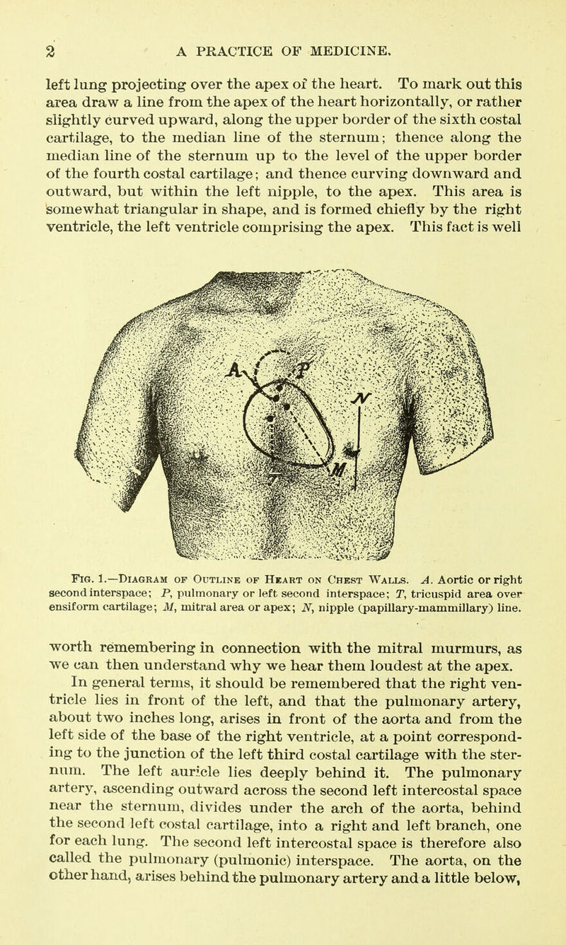 left lung projecting over the apex of the heart. To mark out this area draw a line from the apex of the heart horizontally, or rather slightly curved upward, along the upper border of the sixth costal cartilage, to the median line of the sternum; thence along the median line of the sternum up to the level of the upper border of the fourth costal cartilage; and thence curving downward and outward, but within the left nipple, to the apex. This area is somewhat triangular in shape, and is formed chiefly by the right ventricle, the left ventricle comprising the apex. This fact is well Fig. 1.—Diagram of Outline of Heart on Chest Walls. A. Aortic or right second interspace; P, pulmonary or left second interspace; T, tricuspid area over ensiform cartilage; M, mitral area or apex; N, nipple (papillary-mammillary) line. worth remembering in connection with the mitral murmurs, as we can then understand why we hear them loudest at the apex. In general terms, it should be remembered that the right ven- tricle lies in front of the left, and that the pulmonary artery, about two inches long, arises in front of the aorta and from the left side of the base of the right ventricle, at a point correspond- ing to the junction of the left third costal cartilage with the ster- num. The left auricle lies deeply behind it. The pulmonary artery, ascending outward across the second left intercostal space near the sternum, divides under the arch of the aorta, behind the second left costal cartilage, into a right and left branch, one for each lung. The second left intercostal space is therefore also called the pulmonary (pulmonic) interspace. The aorta, on the other hand, arises behind the pulmonary artery and a little below,