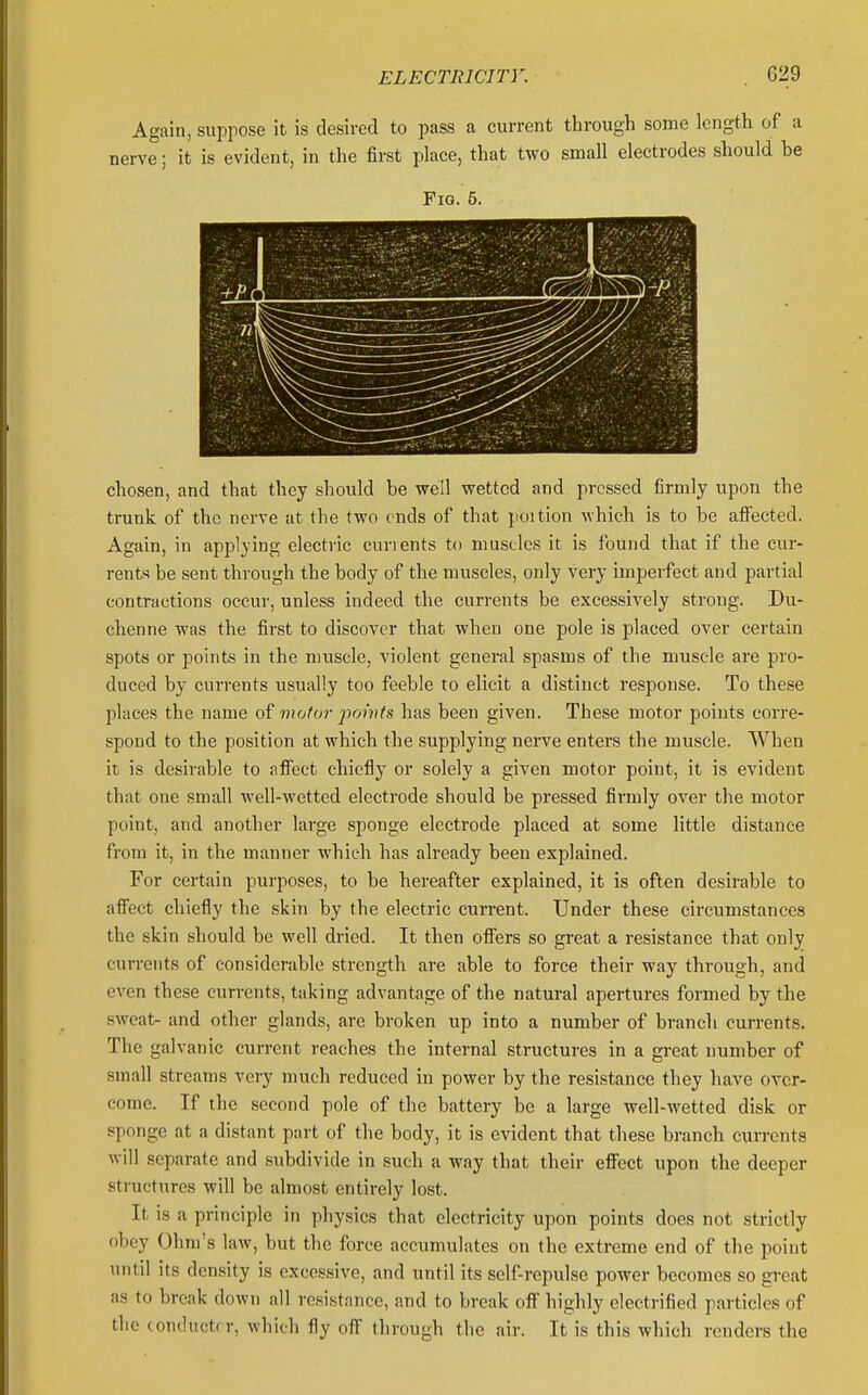 Again, suppose it is desired to pass a current through some length of a nerve; it is evident, in the first place, that two small electrodes should be Fig. 5. chosen, and that they should be well wetted and pressed firmly upon the trunk of the nerve at the two ends of that poition which is to be afi'ected. Again, in applying electric currents to muscles it is found that if the cur- rents be sent through the body of the muscles, only very imperfect and partial contractions occur, unless indeed the currents be excessively strong. Du- chenne was the first to discover that when one pole is placed over certain spots or points in the muscle, violent general spasms of the muscle are pro- duced by currents usually too feeble to elicit a distinct response. To these places the name of motor jwwts has been given. These motor points corre- spond to the position at which the supplying nerve enters the muscle. When it is desirable to afiect chiefly or solely a given motor point, it is evident that one small well-wetted electrode should be pressed firmly over the motor point, and another large sponge electrode placed at some little distance from it, in the manner which has already been explained. For certain purposes, to be hereafter explained, it is often desirable to afiect chiefly the skin by the electric current. Under these circumstances the skin should be well dried. It then ofiers so great a resistance that only currents of considerable strength are able to force their way through, and even these currents, taking advantage of the natural apertures formed by the sweat- and other glands, are broken up into a number of branch currents. The galvanic current reaches the internal structures in a great number of small streams very much reduced in power by the resistance they have over- come. If the second pole of the battery be a large well-wetted disk or sponge at a distant part of the body, it is evident that these branch currents will separate and subdivide in such a way that their eflfect upon the deeper structures will be almost entirely lost. It is a principle in physics that electricity upon points does not strictly obey Ohm's law, but the force accumulates on the extreme end of the point until its density is excessive, and until its self-repulse power becomes so gi-eat as to break down all resistance, and to break oflf highly electrified particles of the conductrr, which fly off through the air. It is this which renders the