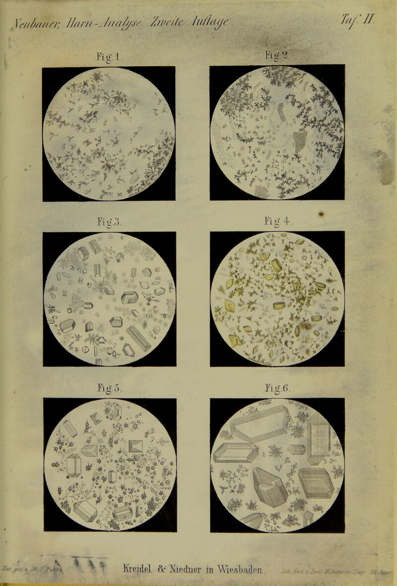 Ve/idtwa; IIarH-J/i.a(j/s&. Zweite lu(/«ye