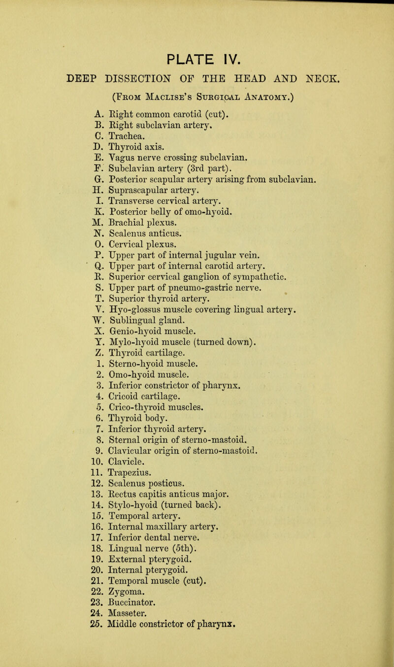 DEEP DISSECTION OF THE HEAD AND NECK. (From Maclise's Surgical Anatomy.) A. Eight common carotid (cut). B. Eight subclavian artery. C. Trachea. D. Thyroid axis. E. Vagus nerve crossing subclavian. F. Subclavian artery (3rd part). Gr. Posterior scapular artery arising from subclavian. H. Suprascapular artery. I. Transverse cervical artery. K. Posterior belly of omo-hyoid. M. Brachial plexus. N. Scalenus anticus. 0. Cervical plexus. P. Upper part of internal jugular vein. Q. Upper part of internal carotid artery. E. Superior cervical ganglion of sympathetic. S. Upper part of pneumo-gastric nerve. T. Superior thyroid artery. V. Hyo-glossus muscle covering lingual artery. W. Sublingual gland. X. Genio-hyoid muscle. T. Mylo-hyoid muscle (turned down). Z. Thyroid cartilage. 1. Sterno-hyoid muscle. 2. Omo-hyoid muscle. 3. Inferior constrictor of pharynx. 4. Cricoid cartilage. 5. Crico-thyroid muscles. 6. Thyroid body. 7. Inferior thyroid artery. 8. Sternal origin of sterno-mastoid. 9. Clavicular origin of sterno-mastoid. 10. Clavicle. 11. Trapezius. 12. Scalenus posticus. 13. Pectus capitis anticus major. 14. Stylo-hyoid (turned back). 15. Temporal artery. 16. Internal maxillary artery. 17. Inferior dental nerve. 18. Lingual nerve (5th). 19. External pterygoid. 20. Internal pterygoid. 21. Temporal muscle (cut). 22. Zygoma. 23. Buccinator. 24. Masseter. 25. Middle constrictor of pharynx.