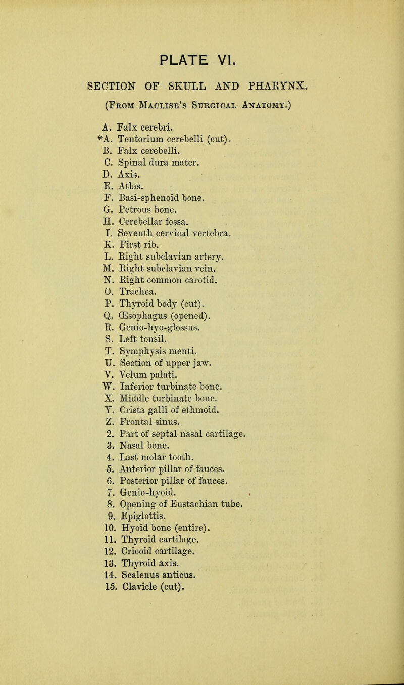 SECTION OF SKULL AND PHARYNX. (From Maclise's Surgical Anatomy,) A. Falx cerebri. *A. Tentorium cerebelli (cut). B. Falx cerebelli. C. Spinal dura mater. D. Axis. E. Atlas. F. Basi-sphenoid bone. GL Petrous bone. H. Cerebellar fossa. I. Seventh cervical vertebra. K. First rib. L. Eight subclavian artery. M. Eight subclavian vein. N. Eight common carotid. 0. Trachea. P. Thyroid body (cut). Q. (Esophagus (opened). E. Genio-hyo-glossus. S. Left tonsil. T. Symphysis menti. IT. Section of upper jaAv. V. Velum palati. W. Inferior turbinate bone. X. Middle turbinate bone. Y. Crista galli of ethmoid. Z. Frontal sinus. 2. Part of septal nasal cartilage. 3. Nasal bone. 4. Last molar tooth. 5. Anterior pillar of fauces. 6. Posterior pillar of fauces. 7. Genio-hyoid. 8. Opening of Eustachian tube. 9. Epiglottis. 10. Hyoid bone (entire). 11. Thyroid cartilage. 12. Cricoid cartilage. 13. Thyroid axis. i 14. Scalenus anticus. 15. Clavicle (cut).