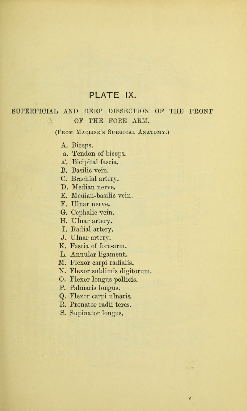 SUPERFICIAL AND DEEP DISSECTION OF THE FRONT OF THE FORE ARM. (From Maclise's Surgical Anatomy.) A. Biceps. a. Tendon of biceps, a'. Bicipital fascia. B. Basilic vein. C. Brachial artery. D. Median nerve. E. Median-basilic vein. F. Ulnar nerve. G. Cephalic vein. H. Ulnar artery. I. Radial artery. J. Ulnar artery. K. Fascia of fore-arm. L. Annular ligament. M. Flexor carpi radialis. N. Flexor snblimis digitorum. 0. Flexor longns pollicis. P. Palmaris longus. Q. Flexor carpi ulnaris. R. Pronator radii teres. S. Supinator longus. c