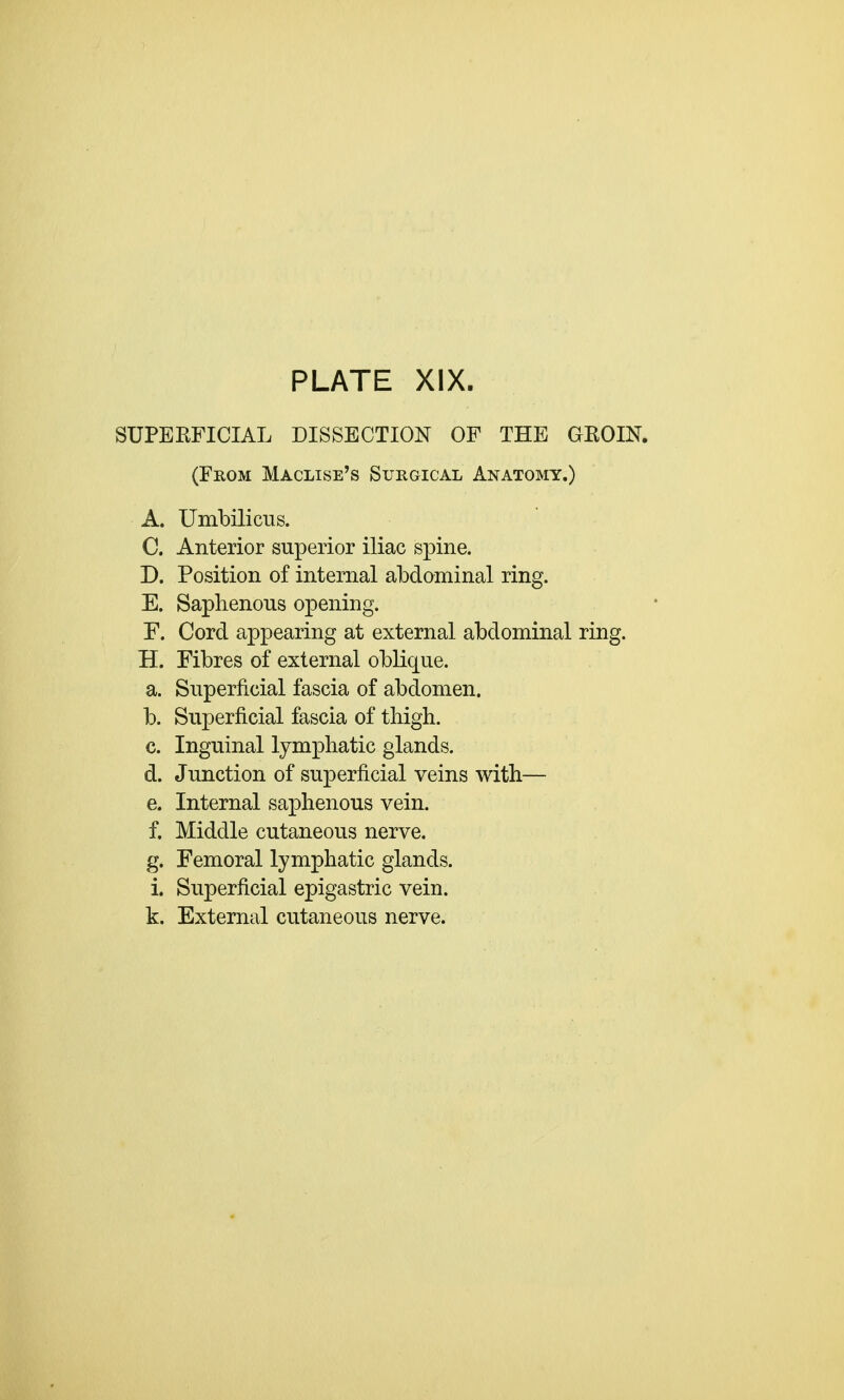 SUPERFICIAL DISSECTION OF THE GKOIN. (From Maclise's Surgical Anatomy.) A. Umbilicus. C. Anterior superior iliac spine. D. Position of internal abdominal ring. E. Saphenous opening. F. Cord appearing at external abdominal ring. H. Fibres of external oblique. a. Superficial fascia of abdomen. b. Superficial fascia of thigh. c. Inguinal lymphatic glands. d. Junction of superficial veins with— e. Internal saphenous vein. f. Middle cutaneous nerve. g. Femoral lymphatic glands, i. Superficial epigastric vein, k. External cutaneous nerve.