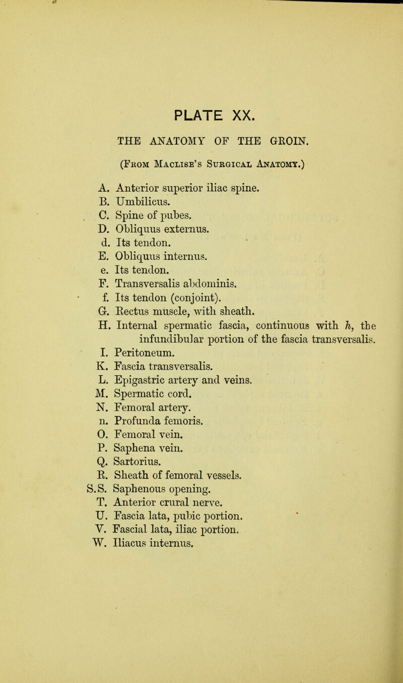 THE ANATOMY OF THE GKOIN. (From Maclise's Surgical Anatomy.) A. Anterior superior iliac spine. B. Umbilicus. C. Spine of pubes. D. Obliquus externus. d. Its tendon. E. Obliquus internus. e. Its tendon. F. Transversalis abdominis. f. Its tendon (conjoint). G. Eectus muscle, with sheath. H. Internal spermatic fascia, continuous with h, thi infundibular portion of the fascia transversalis I. Peritoneum. K. Fascia transversalis. L. Epigastric artery and veins. M. Spermatic cord. N. Femoral artery, n. Profunda femoris. 0. Femoral vein. P. Saphena vein. Q. Sartorius. E. Sheath of femoral vessels. S.S. Saphenous opening. T. Anterior crural nerve. U. Fascia lata, pubic portion. V. Fascial lata, iliac portion. W. Iliacus internus.