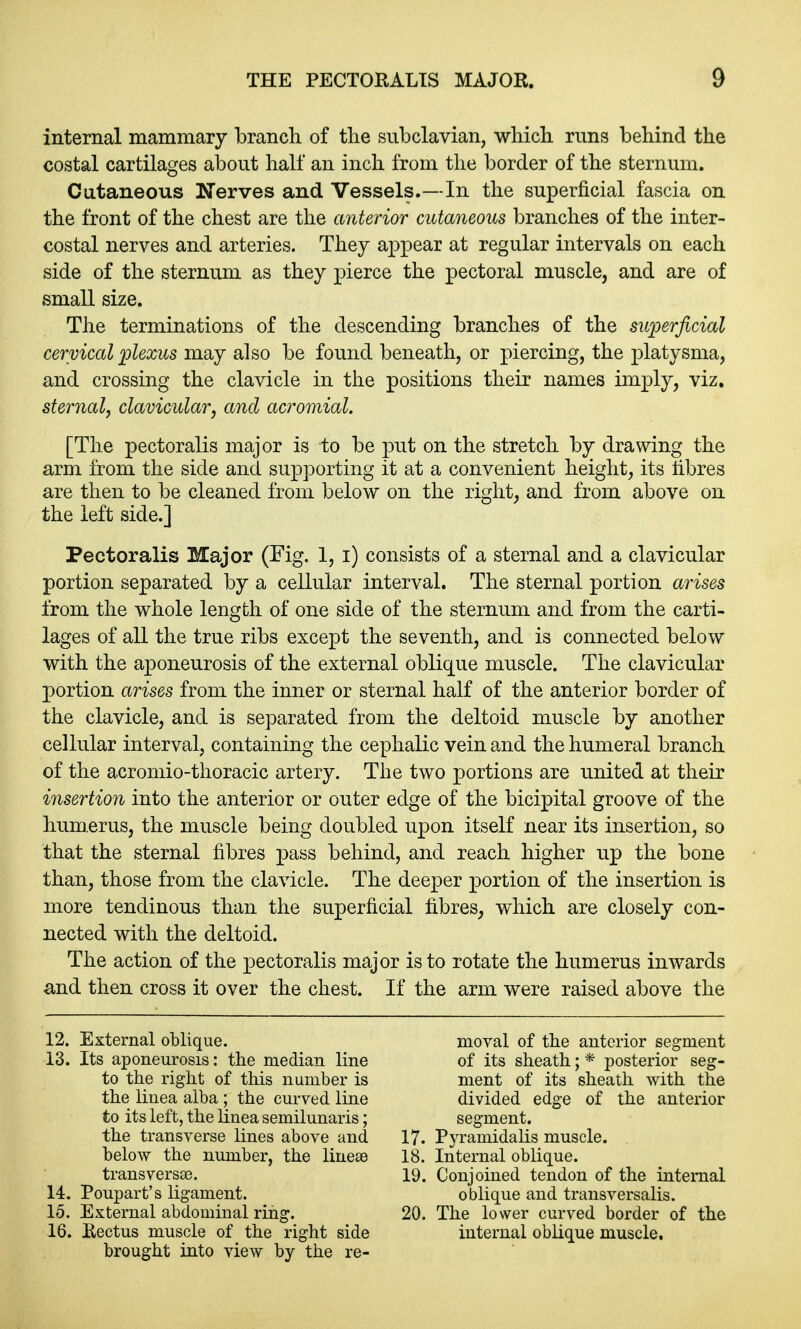 internal mammary branch, of the subclavian, which, runs behind the costal cartilages about half an inch from the border of the sternum. Cutaneous Nerves and Vessels.—In the superficial fascia on the front of the chest are the anterior cutaneous branches of the inter- costal nerves and arteries. They appear at regular intervals on each side of the sternum as they pierce the pectoral muscle, and are of small size. The terminations of the descending branches of the superficial cervical plexus may also be found beneath, or piercing, the platysma, and crossing the clavicle in the positions their names imply, viz. sternal, clavicular, and acromial. [The pectoralis major is to be put on the stretch, by drawing the arm from the side and supporting it at a convenient height, its fibres are then to be cleaned from below on the right, and from above on the left side.] Pectoralis Major (Fig. 1, i) consists of a sternal and a clavicular portion separated by a cellular interval. The sternal portion arises from the whole length of one side of the sternum and from the carti- lages of all the true ribs except the seventh, and is connected below with the aponeurosis of the external oblique muscle. The clavicular portion arises from the inner or sternal half of the anterior border of the clavicle, and is separated from the deltoid muscle by another cellular interval, containing the cephalic vein and the humeral branch, of the acromio-thoracic artery. The two portions are united at their insertion into the anterior or outer edge of the bicipital groove of the huinerus, the muscle being doubled upon itself near its insertion, so that the sternal fibres pass behind, and reach higher up the bone than, those from the clavicle. The deeper portion of the insertion is more tendinous than the superficial fibres, which, are closely con- nected with the deltoid. The action of the pectoralis major is to rotate the humerus inwards and then cross it over the chest. If the arm were raised above the 12. External oblique. 13. Its aponeurosis: the median line to the right of this number is the linea alba ; the curved line to its left, the linea semilunaris; the transverse lines above and below the number, the linese trans versaa. 14. Poupart's ligament. 15. External abdominal ring. 16. Rectus muscle of the right side brought into view by the re- moval of the anterior segment of its sheath; * posterior seg- ment of its sheath with the divided edge of the anterior segment. 17. Pyramidalis muscle. 18. Internal oblique. 19. Conjoined tendon of the internal oblique and transversalis. 20. The lower curved border of the internal oblique muscle.