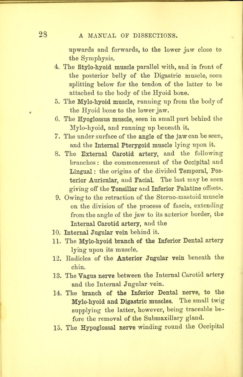 upwards and forwards, to the lower jaw close to the Symphysis. 4*. The Stylo-hyoid muscle parallel with, and in front of the posterior belly of the Digastric muscle, seen splitting below for the tendon of the latter to be attached to the body of the Hyoid bone. 5. The Mylo-hyoid muscle, running up from the body of the Hyoid bone to the lower jaw. 6. The Hyoglossus muscle, seen in small part behind the Mylo-hyoid, and running up beneath it. 7. The under surface of the angle of the jaw can be seen, and the Internal Pterygoid muscle lying upon it. 8. The External Carotid artery, and the following branches: the commencement of the Occipital and Lingual: the origins of the divided Temporal, Pos- terior Auricular, and Facial. The last may be seen giving off the Tonsillar and Inferior Palatine offsets. 9. Owing to the retraction of the Sterno-mastoid muscle on the division of the process of fascia, extending from the angle of the jaw to its aDterior border, the Internal Carotid artery, and the 10. Internal Jugular vein behind it. 11. The Mylo-hyoid branch of the Inferior Dental artery lying upon its muscle. 12. Eadicles of the Anterior Jugular vein beneath the chin. 13. The Vagus nerve between the Internal Carotid artery and the Internal Jugular vein. 14. The branch of the Inferior Dental nerve, to the Mylo-hyoid and Digastric muscles. The small twig supplying the latter, however, being traceable be- fore the removal of the Submaxillary gland. 15. The Hypoglossal nerve winding round the Occipital