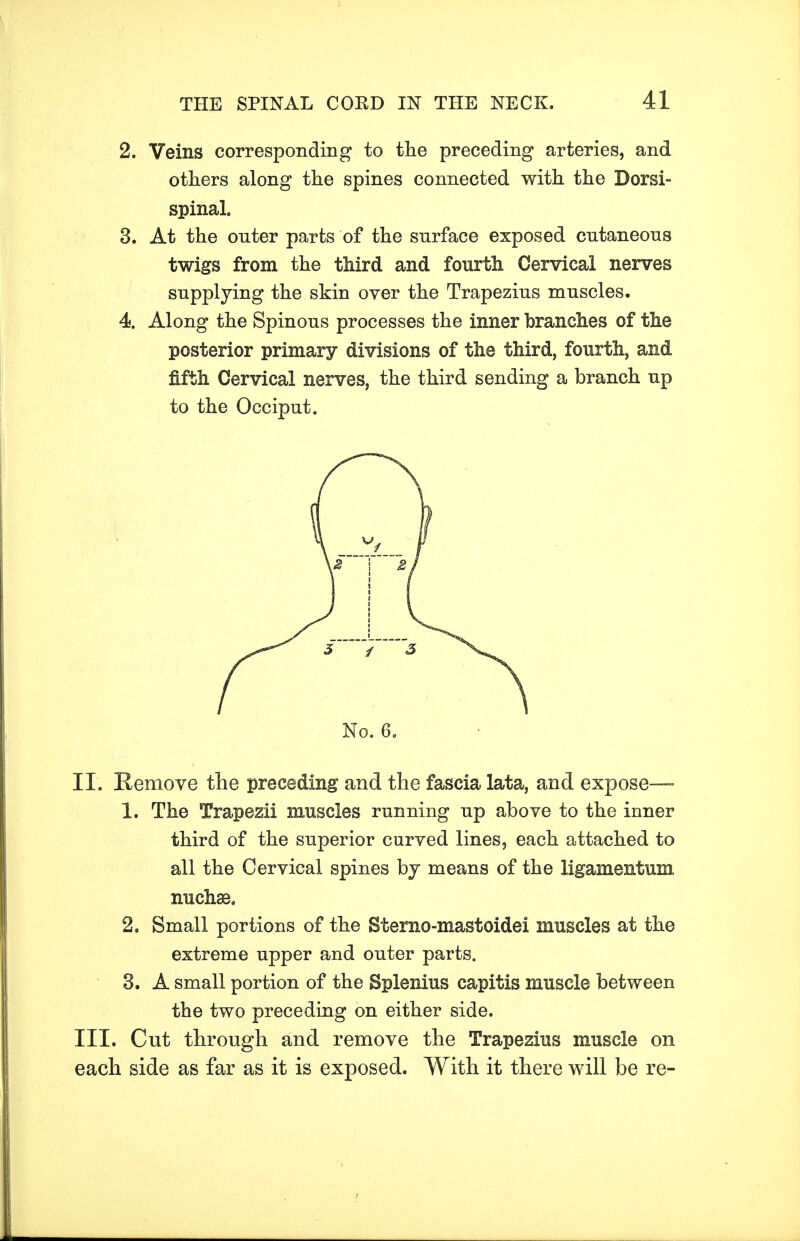 2. Veins corresponding to the preceding arteries, and others along the spines connected with the Dorsi- spinal. 3. At the outer parts of the surface exposed cutaneous twigs from the third and fourth Cervical nerves supplying the skin over the Trapezius muscles. 4. Along the Spinous processes the inner branches of the posterior primary divisions of the third, fourth, and fifth Cervical nerves, the third sending a branch up to the Occiput. No. 6, II. Remove the preceding and the fascia lata, and expose— 1. The Trapezii muscles running up above to the inner third of the superior curved lines, each attached to all the Cervical spines by means of the ligamentum nuchae. 2. Small portions of the Stemo-mastoidei muscles at the extreme upper and outer parts. 3. A small portion of the Splenius capitis muscle between the two preceding on either side. III. Cut through and remove the Trapezius muscle on each side as far as it is exposed. With it there will be re-