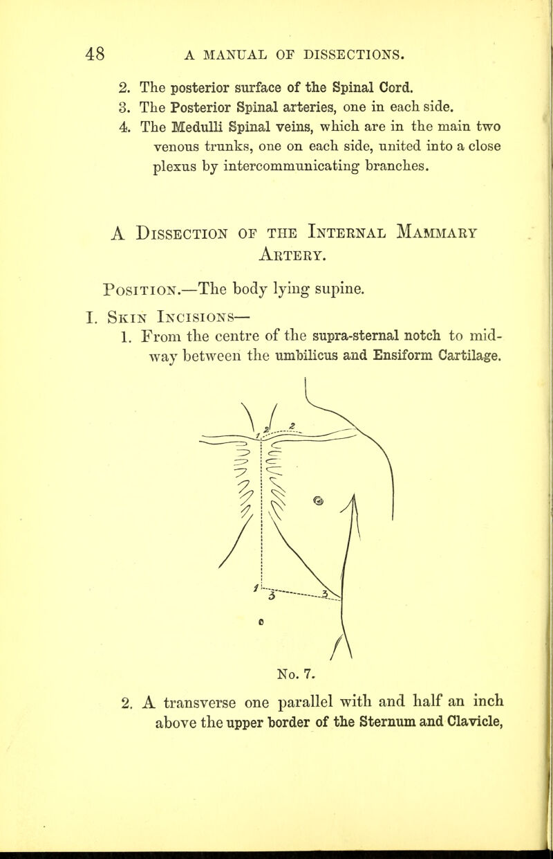 2. The posterior surface of the Spinal Cord. 3. The Posterior Spinal arteries, one in each side. 4 The Medulli Spinal veins, which are in the main two venous trunks, one on each side, united into a close plexus by intercommunicating branches. A Dissection of the Internal Mammary Artery. Position.—The body lying supine. I. Skin Incisions— 1. From the centre of the supra-sternal notch to mid- way between the umbilicus and Ensiform Cartilage. No. 7. 2. A transverse one parallel with and half an inch above the upper border of the Sternum and Clavicle,