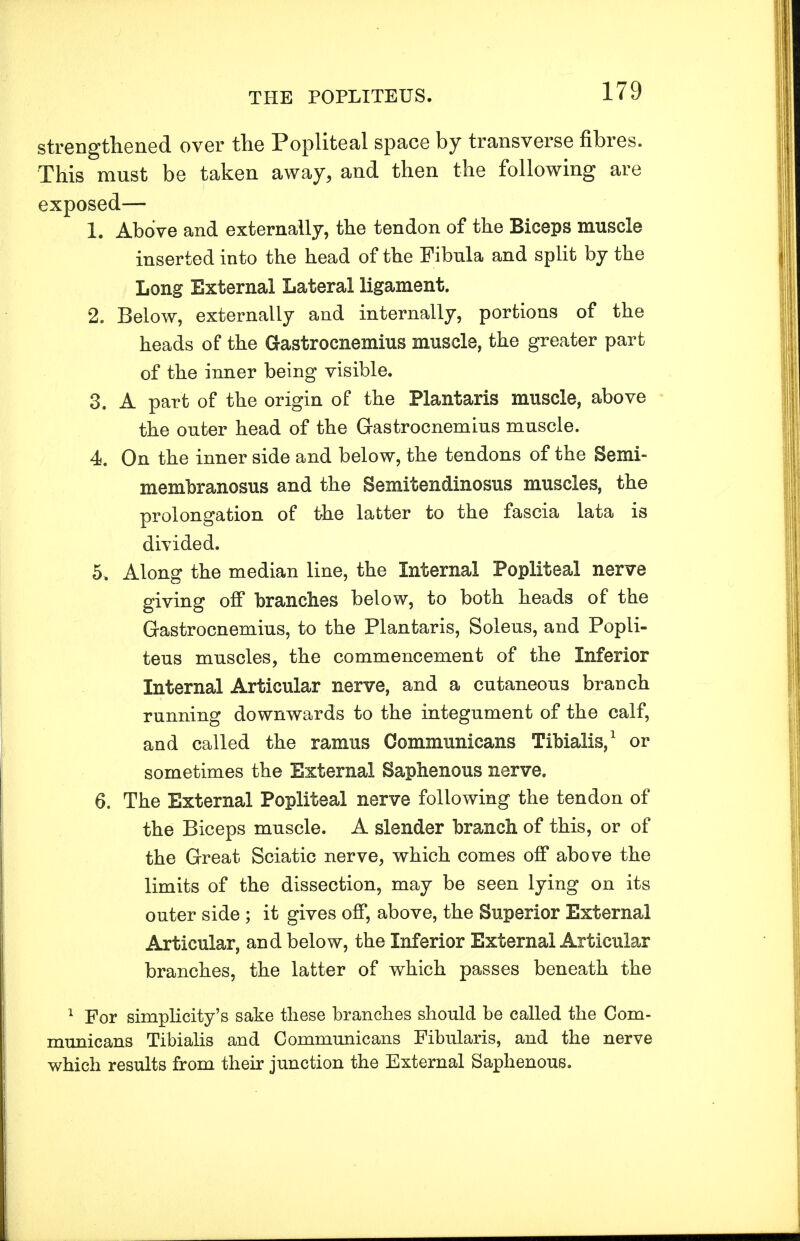 strengthened over the Popliteal space by transverse fibres. This must be taken away, and then the following are exposed— 1. Above and externally, the tendon of the Biceps muscle inserted into the head of the Fibula and split by the Long External Lateral ligament. 2. Below, externally and internally, portions of the heads of the Gastrocnemius muscle, the greater part of the inner being visible. 3. A part of the origin of the Plantaris muscle, above the outer head of the Gastrocnemius muscle. 4. On the inner side and below, the tendons of the Semi- membranosus and the Semitendinosus muscles, the prolongation of the latter to the fascia lata is divided. 5. Along the median line, the Internal Popliteal nerve giving off branches below, to both heads of the Gastrocnemius, to the Plantaris, Soleus, and Popli- teus muscles, the commencement of the Inferior Internal Articular nerve, and a cutaneous branch running downwards to the integument of the calf, and called the ramus Communicans Tibialis,1 or sometimes the External Saphenous nerve. 6. The External Popliteal nerve following the tendon of the Biceps muscle. A slender branch of this, or of the Great Sciatic nerve, which comes off above the limits of the dissection, may be seen lying on its outer side; it gives off, above, the Superior External Articular, and below, the Inferior External Articular branches, the latter of which passes beneath the 1 For simplicity's sake these branches should be called the Com- municans Tibialis and Communicans Fibularis, and the nerve which results from their junction the External Saphenous.