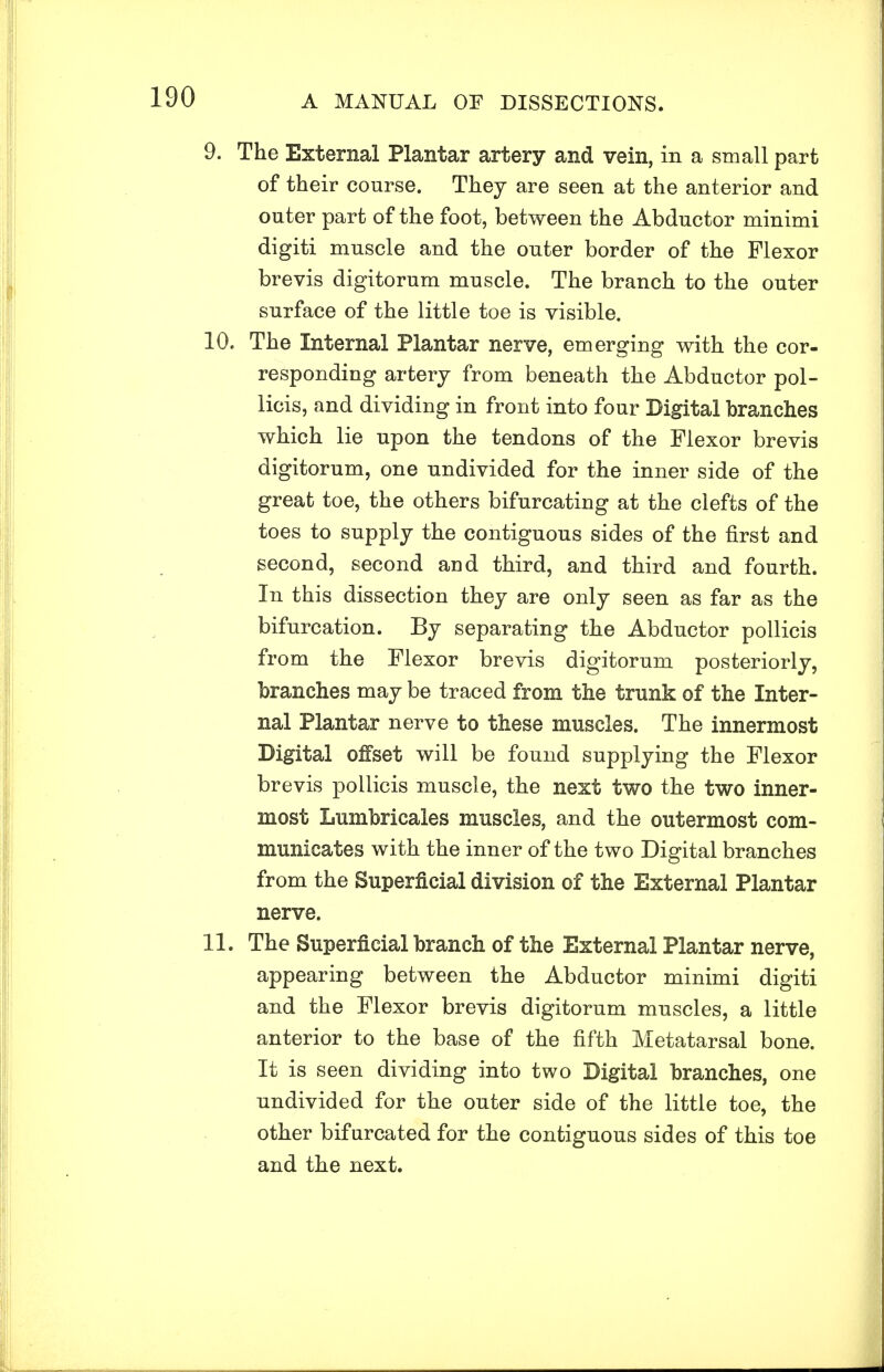 9. The External Plantar artery and vein, in a small part of their course. They are seen at the anterior and outer part of the foot, between the Abductor minimi digiti muscle and the outer border of the Flexor brevis digitorum muscle. The branch to the outer surface of the little toe is visible. 10. The Internal Plantar nerve, emerging with the cor- responding artery from beneath the Abductor pol- licis, and dividing in front into four Digital branches which lie upon the tendons of the Flexor brevis digitorum, one undivided for the inner side of the great toe, the others bifurcating at the clefts of the toes to supply the contiguous sides of the first and second, second aud third, and third and fourth. In this dissection they are only seen as far as the bifurcation. By separating the Abductor pollicis from the Flexor brevis digitorum posteriorly, branches may be traced from the trunk of the Inter- nal Plantar nerve to these muscles. The innermost Digital offset will be found supplying the Flexor brevis pollicis muscle, the next two the two inner- most Lumbricales muscles, and the outermost com- municates with the inner of the two Digital branches from the Superficial division of the External Plantar nerve. 11. The Superficial branch of the External Plantar nerve, appearing between the Abductor minimi digiti and the Flexor brevis digitorum muscles, a little anterior to the base of the fifth Metatarsal bone. It is seen dividing into two Digital branches, one undivided for the outer side of the little toe, the other bifurcated for the contiguous sides of this toe and the next.