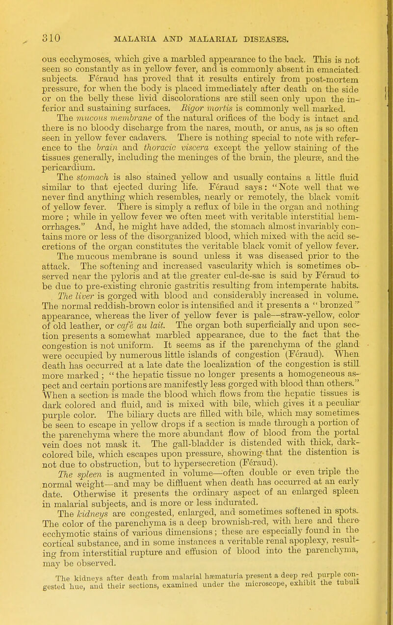 ous ecchymoses, which give a marbled appearance to the back. This is not. seen so constantly as in yeUow fever, and is commonly absent in emaciated subjects. Feraud has proved that it results entirely from post-mortem pressure, for when the body is placed immediately after death on the side or on the belly these livid discolorations are still seen only upon the in- ferior and sustaining surfaces. Bigor mortis is commonly well marked. The mucous membrane of the natm'al orifices of the body is intact and there is no bloody discharge fi'om the nares, mouth, or anus, as js so often seen in yellow fever cadavers. There is nothing special to note with refer- ence to the brain and thoracic viscera except the yellow staining of the tissues generally, including the meninges of the brain, the pleurte, and the pericardium. The stomach is also stained yellow and usually contains a Uttle fluid similar to that ejected dui-ing life. Feraud says: Note well that we never find anything which resembles, nearly or remotety, the black vomit of yellow fever. There is simply a reflux of bile in the organ and nothing more ; while in yellow fever we often meet with veritable interstitial hem- orrhages. And, he might have added, the stomach almost invariably con- tains more or less of the disorganized blood, which mixed with the acid se- cretions of the organ constitutes the veritable black vomit of yellow fever. The miicous membrane is sound unless it was diseased prior to the attack. The softening and increased vascularity which is sometimes ob- served near the pyloris and at the greater cul-de-sac is said by Feraud to be due to pre-existing chronic gastritis resulting fi'om intemperate habits. The liver is gorged with blood and considerably increased in volume. The normal reddish-brown color is intensified and it presents a bronzed ' appearance, whereas the Uver of yellow fever is pale—straw-yellow, color of old leather, or cafe au lait. The organ both superficially and upon sec- tion presents a somewhat marbled appearance, due to the fact that the congestion is not uniform. It seems as if the parenchyma of the gland were occupied by numerous httle islands of congestion (Feraud). When death has occurred at a late date the localization of the congestion is still more marked ; the hepatic tissue no longer presents a homogeneous as- pect and certain portions are manifestly less gorged with blood than others. When a section is made the blood which flows from the hepatic tissues is dark colored and fluid, and is mixed with bile, which gives it a pecuhar purple color. The biliary ducts are filled with bUe, which may sometimes- be seen to escape in yellow drops if a section is made through a portion of the parenchyma where the more abundant flow of blood fi-om the portal vein does not mask it. The gall-bladder is distended with thick, dark- colored bile, wliich escapes upon pressirre, showing that the distention is not due to obstruction, but to hj-persecretion (Feraud). TJie spleen is augmented in volume—often double or even triple the normal weight—and may be diffluent when death has occurred at an eai-ly date. Otherwise it presents the ordinary aspect of an enlarged spleen in malarial subjects, and is more or less indurated. The kidneys are congested, enlarged, and sometimes softened in spots. The color of the parenchyma is a deep brownish-red, with here and there ecchymotic stains of various dimensions; these are especially found in the cortical substance, and in some instances a veritable renal apoplexy, result- ing from interstitial rupture and effusion of blood into the parenchyma, may be observed. The kidneys after death from maUirial ha;matiu-ia present a deep red purple con; gested hue, and their sections, examined under the microscope, exhibit the tubua