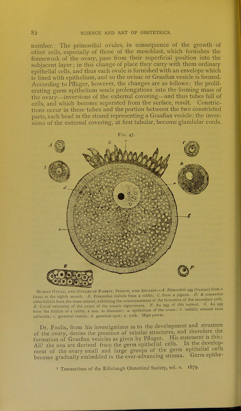 number. The primordial ovules, in consequence of the growth of other cells, especially of those of the mesoblast, which furnishes the framework of the ovary, pass from their superficial position into the subjacent layer ; in this change of place they carry with them ordinar}^ epithelial cells, and thus each ovule is furnished with an envelope which is lined with epithelium, and so the ovisac or Graafian vesicle is formed. According to Pflliger, however, the changes are as follows: the prolif- erating germ epithelium sends prolongations into the forming mass of the ovary inversions of the external covering—and thus tubes full of cells, and which become separated from the surface, result. Constric- tions occur in these tubes and the portion between the two constricted parts, each bead in the strand representing a Graafian vesicle; the inver- sions of the external covering, at first tubular, become glandular cords. Fig. 47. Human Ovule, and Ovules of Rabbit, Pigeon, and Ascaris.-^. Primordial egg (human) from a foetus at the eighth month. B. Primordial follicle from a rabbit; C. from a pigeon. D. A somewhat older follicle from the same animal, exhibiting the commencement of the formation of the secondary yolk. E. Ca-cal extremity of the ovary of the ascaris nigrovenosa. F. An egg of this animal. G. An egg from the follicle of a rabbit, 2 mm. in diameter; a. epithelium of the ovum ; I: radially stn.ated zona pellucida; c. germinal vesicle; d. germinal spot; e. yolk. High power. Dr. Foulis, from his investigations as to the development and structure of the ovary, denies the presence of tubular structures, and therefore the formation of Graafian vesicles as given by Pfliiger. His statement is this: All' the ova are derived from the germ epithelial cells. In the develop- ment of the ovary small and large groups of the germ epithelial cells become gradually embedded in the ever-advancing stroma. Germ epithe- ' Transactions of the Edinburgh Obstetrical Society, vol. v. 1S79.