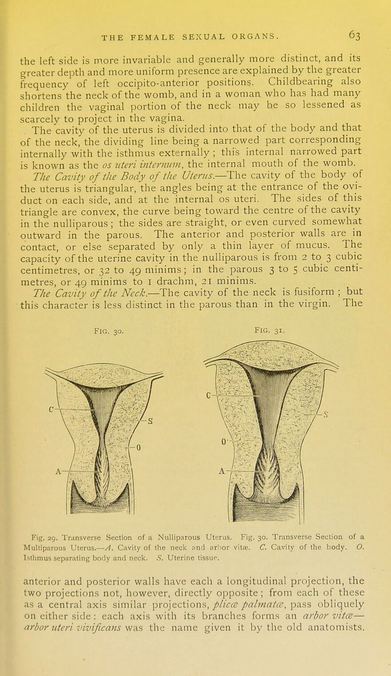 the left side is more invariable and generally more distinct, and its greater depth and more uniform presence are explained by the greater frequency of left occipito-anterior positions. Childbearing also shortens the neck of the womb, and in a woman who has had many children the vaginal portion of the neck may be so lessened as scarcely to project in the vagina. The cavity of the uterus is divided into that of the body and that of the neck, the dividing line being a narrowed part corresponding internally with the isthmus externally ; this internal narrowed part is known as the os uteri internum, the internal mouth of the womb. The Cavity of the Body of the Uterus—The cavity of the body of the uterus is triangular, the angles being at the entrance of the ovi- duct on each side, and at the internal os uteri. The sides of this triangle are convex, the curve being toward the centre of the cavity in the nulliparous; the sides are straight, or even curved somewhat outward in the parous. The anterior and posterior walls are in contact, or else separated by only a thin layer of mucus. The capacity of the uterine cavity in the nulliparous is from 2 to 3 cubic centimetres, or 32 to 49 minims; in the parous 3 to 5 cubic centi- metres, or 49 minims to 1 drachm, 21 minims. The Cavity of the Neck.—The cavity of the neck is fusiform ; but this character is less distinct in the parous than in the virgin. The Fig. 30. Fig. 31. Fig. 29. Transverse Section of a Nulliparous Uterus. Fig. 30. Transverse Section of a Muciparous Uterus.—A. Cavity of the neck and arbor vitte. C. Cavity of the body. O. Isthmus separating body and neck. S. Uterine tissue. anterior and posterior walls have each a longitudinal projection, the two projections not, however, directly opposite ; from each of these as a central axis similar projections,///^? palmatce, pass obliquely on either side : each axis with its branches forms an arbor vitcB— arbor uteri vivificans was the name given it by the old anatomists.