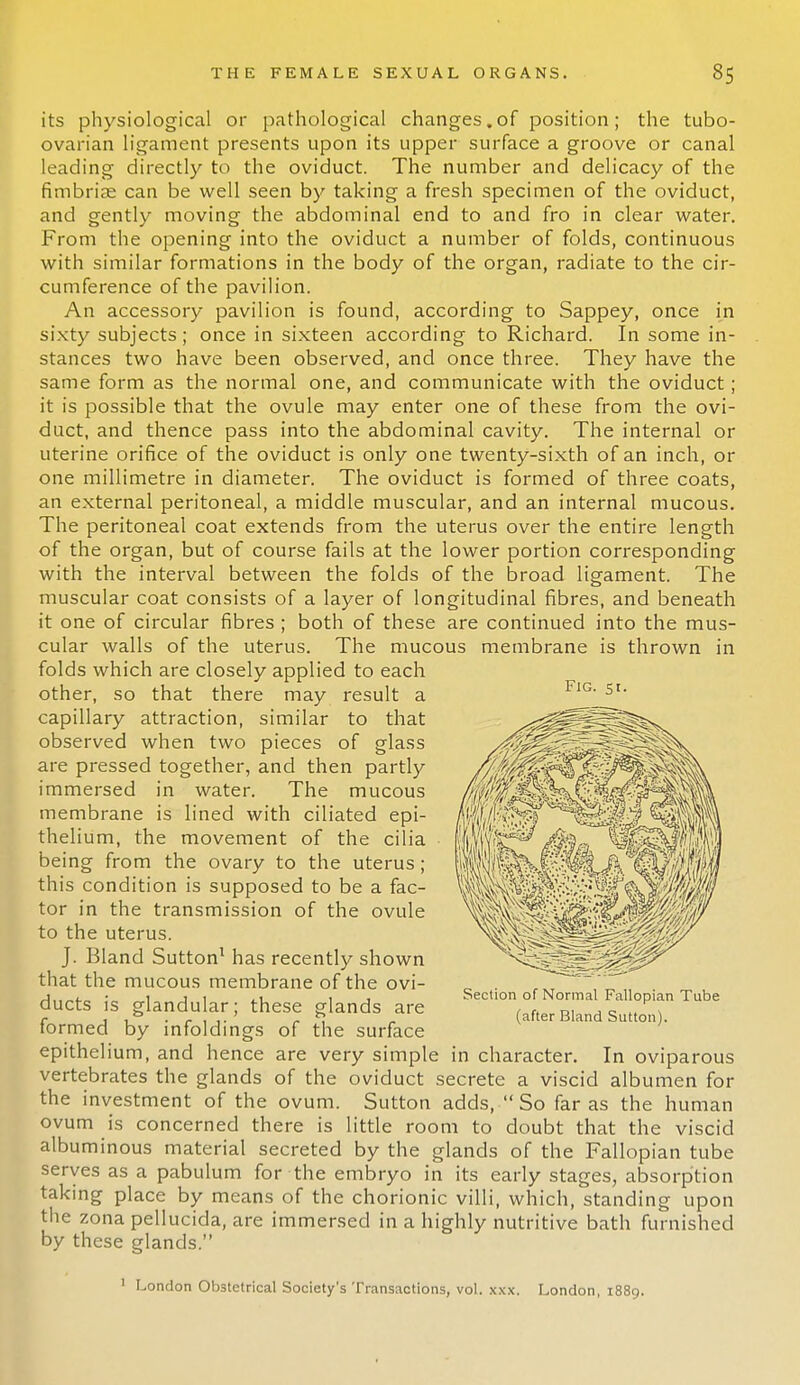 its physiological or pathological changes.of position; the tubo- ovarian ligament presents upon its upper surface a groove or canal leading directly to the oviduct. The number and delicacy of the fimbriae can be well seen by taking a fresh specimen of the oviduct, and gently moving the abdominal end to and fro in clear water. From the opening into the oviduct a number of folds, continuous with similar formations in the body of the organ, radiate to the cir- cumference of the pavilion. An accessory pavilion is found, according to Sappey, once in sixty subjects; once in sixteen according to Richard. In some in- stances two have been observed, and once three. They have the same form as the normal one, and communicate with the oviduct; it is possible that the ovule may enter one of these from the ovi- duct, and thence pass into the abdominal cavity. The internal or uterine orifice of the oviduct is only one twenty-sixth of an inch, or one millimetre in diameter. The oviduct is formed of three coats, an external peritoneal, a middle muscular, and an internal mucous. The peritoneal coat extends from the uterus over the entire length of the organ, but of course fails at the lower portion corresponding with the interval between the folds of the broad ligament. The muscular coat consists of a layer of longitudinal fibres, and beneath it one of circular fibres ; both of these are continued into the mus- cular walls of the uterus. The mucous membrane is thrown in folds which are closely applied to each other, so that there may result a capillary attraction, similar to that observed when two pieces of glass are pressed together, and then partly immersed in water. The mucous membrane is lined with ciliated epi- thelium, the movement of the cilia being from the ovary to the uterus; this condition is supposed to be a fac- tor in the transmission of the ovule to the uterus. J. Bland Sutton1 has recently shown that the mucous membrane of the ovi- ducts is glandular; these glands are formed by infoldings of the surface epithelium, and hence are very simple in character. In oviparous vertebrates the glands of the oviduct secrete a viscid albumen for the investment of the ovum. Sutton adds,  So far as the human ovum is concerned there is little room to doubt that the viscid albuminous material secreted by the glands of the Fallopian tube serves as a pabulum for the embryo in its early stages, absorption taking place by means of the chorionic villi, which, standing upon the zona pellucida, are immersed in a highly nutritive bath furnished by these glands. Fig. st. Section of Normal Fallopian Tube (after Bland Sutton). 1 London Obstetrical Society's Transactions, vol. xxx. London, 1889.