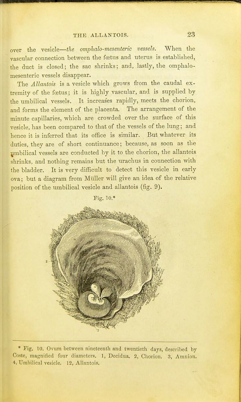 over the vesicle—the omphalo-mesenteric vessels. When the vascular connection between the fetus and uterus is established, the duct is closed; the sac shrinks; and, lastly, the omphalo- mesenteric vessels disappear. The Allantois is a vesicle which grows from the caudal ex- tremity of the foetus; it is highly vascular, and is supplied by the umbilical vessels. It increases rapidly, meets the chorion, and forms the element of the placenta. The arrangement of the minute capillaries, which are crowded over the surface of this vesicle, has been compared to that of the vessels of the lung; and hence it is inferred that its office is similar. But whatever its duties, they are of short continuance; because, as soon as the umbilical vessels are conducted by it to the chorion, the allantois shrinks, and nothing remains but the urachus in connection with the bladder. It is very difficult to detect this vesicle in early ova; but a diagram from Midler will give an idea of the relative position of the umbilical vesicle and allantois (fig. 9). Fig. 10* * Fig. 10. Ovum between nineteenth and twentieth days, described by Coste, magnified four diameters. 1, Decidua. 2, Chorion. 3, Amnion. 4, Umhilicnl vesicle. 12, Allantois.