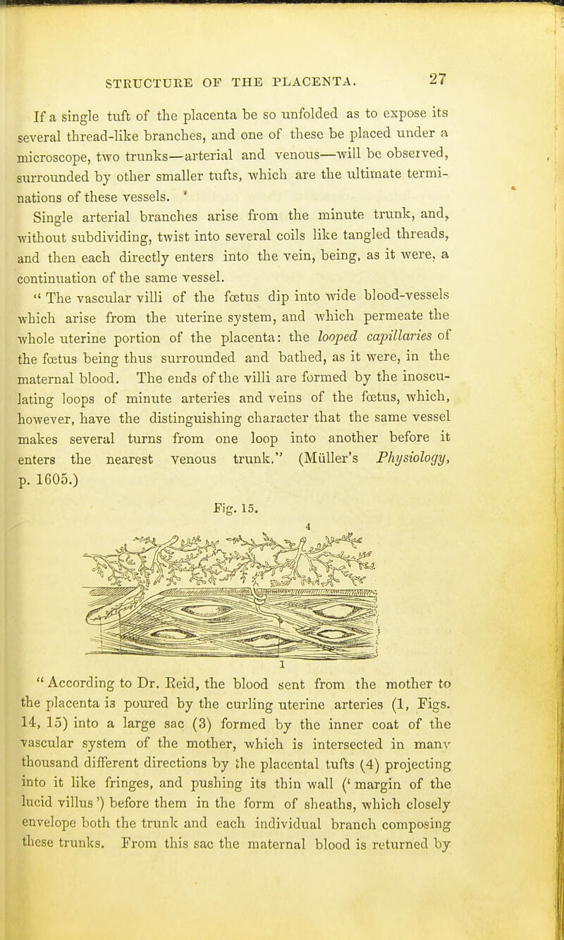STRUCTURE OF THE PLACENTA. If a single tuft of the placenta be so unfolded as to expose its several thread-like branches, and one of these be placed under a microscope, two trunks—arterial and venous—will be observed, surrounded by other smaller tufts, which are the ultimate termi- nations of these vessels. 1 Single arterial branches arise from the minute trunk, and, without subdividing, twist into several coils like tangled threads, and then each directly enters into the vein, being, as it were, a continuation of the same vessel.  The vascular villi of the foetus dip into wide blood-vessels which arise from the uterine system, and which permeate the whole uterine portion of the placenta: the looped capillaries of the foetus being thus surrounded and bathed, as it were, in the maternal blood. The ends of the villi are formed by the inoscu- lating loops of minute arteries and veins of the foetus, which, however, have the distinguishing character that the same vessel makes several turns from one loop into another before it enters the nearest venous trunk. (Midler's Physiology, p. 1605.) JFig. 15. ■1 l  According to Dr. Eeid, the blood sent from the mother to the placenta i3 poured by the curling uterine arteries (1, Tigs. 14, 15) into a large sac (3) formed by the inner coat of the vascular system of the mother, which is intersected in many thousand different directions by the placental tufts (4) projecting into it like fringes, and pushing its thin wall (' margin of the lucid villus') before them in the form of sheaths, which closely envelope both the trunk and each individual branch composing these trunks. From this sac the maternal blood is returned by
