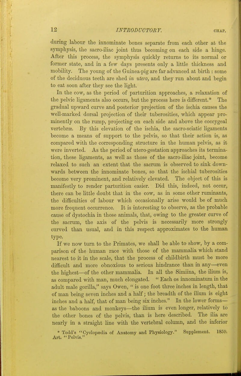 during labour the innominate bones separate from each other at the symphysis, the sacro-iliac joint thus becoming on each side a hinge. After this process, the symphysis quickly returns to its normal or former state, and in a few days presents only a little thickness and mobility. The young of the Guinea-pig are far advanced at birth : some of the deciduous teeth are shed in utero, and they run about and begin to eat soon after they see the light. In the cow, as the period of parturition approaches, a relaxation of the pelvic ligaments also occurs, but the process here is different.* The gradual upward curve and posterior projection of the ischia causes the well-marked dorsal projection of their tuberosities, which appear pro- minently on the rump, projecting on each side and above the coccygeal vertebrae. By this elevation of the ischia, the sacro-sciatic ligaments become a means of support to the pelvis, so that their action is, as compared with the corresponding structure in the human pelvis, as it were inverted. As the period of utero-gestation approaches its termina- tion, these ligaments, as well as those of the sacro-iliac joint, become relaxed to such an extent that the sacrum is observed to sink down- wards between the innominate bones, so that the ischial tuberosities become very prominent, and relatively elevated. The object of this is manifestly to render parturition easier. Did this, indeed, not occur, there can be little doubt that in the cow, as in some other ruminants, the difficulties of labour which occasionally arise would be of much more frequent occurrence. It is interesting to observe, as the probable cause of dystochia in those animals, that, owing to the greater curve of the sacrum, the axis of the pelvis is necessarily more strongly curved than usual, and in this respect approximates to the human type. If we now turn to the Primates, we shall be able to show, by a com- parison of the human race with those of the mammalia which stand nearest to it in the scale, that the process of childbirth must be more difficult and more obnoxious to serious hindrance than in any—even the highest—of the other mammalia. In all the Simiina, the ilium is, as compared with man, much elongated.  Each os imiominatum in the adult male gorilla, says Owen,  is one foot three inches in length, that of man being seven inches and a half; the breadth of the ilium is eight inches and a half, that of man being six inches. In the lower forms— as the baboons and monkeys—the ilium is even longer, relatively to the other bones of the pelvis, than is here described. The ilia are nearly in a straight line with the vertebral column, and the inferior * Todd's Cyclopaedia of Anatomy and Physiology. Supplement. 1859. Art. Pelvis.