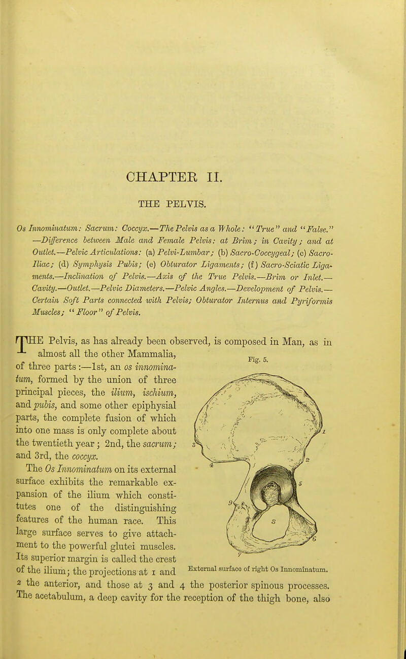 CHAPTER II. THE PELVIS. Os Innominatum: Sacrum: Coccyx.—The Pelvis as a Whole: True and False. —Difference betvjeen Male and Female Pelvis: at Brim; in Cavity; and at Outlet.—Pelvic Articulations: (a) Pelvi-Lumbar; (b) Sacro-Coccygeal; (c) Sacro- iliac; (d) Symphysis Pubis; (e) Obturator Ligaments; (f) Sacro-Sciatic Liga- ments.—Inclination of Pelvis.—Axis of the True Pelvis.—Brim or Inlet.— Cavity.—-Outlet.—Pelvic Diameters.—Pelvic Angles.—Development of Pelvis.— Certain Soft Parts connected with Pelvis; Obturator Interims and Pyriformis Muscles; Floor of Pelvis. rTlHE Pelvis, as has already been observed, is composed in Man, as in almost all the other Mammalia, of three parts :—1st, an os innomina- tum, formed by the union of three principal pieces, the ilium, ischium, and pubis, and some other epiphysial parts, the complete fusion of which into one mass is only complete about the twentieth year; 2nd, the sacrum; and 3rd, the coccyx. The Os Innominatum on its external surface exhibits the remarkable ex- pansion of the ilium which consti- tutes one of the distinguishing features of the human race. This large surface serves to give attach- ment to the powerful glutei muscles. Its superior margin is called the crest of the ilium; the projections at i and External surfao°of Os innominatum. 2 the anterior, and those at 3 and 4 the posterior spinous processes. The acetabulum, a deep cavity for the reception of the thigh bone, also