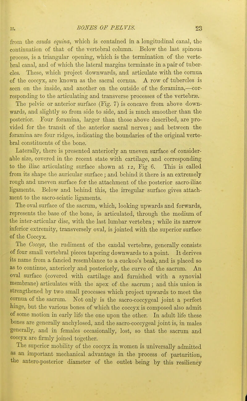 from the cauda equina, which is contained in a longitudinal canal, the continuation of that of the vertebral column. Below the last spinous process, is a triangular opening, which is the termination of the verte- bral canal, and of which the lateral margins terminate in a pair of tuber- cles. These, which project downwards, and articulate with the cornua of the coccyx, are known as the sacral cornua. A row of tubercles is seen on the inside, and another on the outside of the foramina,—cor- responding to the articulating and transverse processes of the vertebrae. The pelvic or anterior surface (Fig. 7) is concave from above down- wards, and slightly so from side to side, and is much smoother than the posterior. Four foramina, larger than those above described, are pro- vided for the transit of the anterior sacral nerves; and between the foramina are four ridges, indicating the boundaries of the original verte- bral constituents of the bone. Laterally, there is presented anteriorly an uneven surface of consider- able size, covered in the recent state with cartilage, and corresponding to the iliac articulating surface shown at 12, Fig 6. This is called from its shape the auricular surface; and behind it there is an extremely rough and uneven surface for the attachment of the posterior sacro-iliac ligaments. Below and behind this, the irregular surface gives attach- ment to the sacro-sciatic ligaments. The oval surface of the sacrum, which, looking upwards and forwards, represents the base of the bone, is articulated, through the medium of the inter-articular disc, with the last lumbar vertebra; while its narrow inferior extremity, transversely oval, is jointed with the superior surface of the Coccyx. The Coccyx, the rudiment of the caudal vertebrae, generally consists of four small vertebral pieces tapering downwards to a point. It derives its name from a fancied resemblance to a cuckoo's beak, and is placed so as to continue, anteriorly and posteriorly, the curve of the sacrum. An oval surface (covered with cartilage and furnished with a synovial membrane) articulates with the apex of the sacrum; and this union is strengthened by two small processes which project upwards to meet the cornua of the sacrum. Not only is the sacro-coccygeal joint a perfect hinge, but the various bones of which the coccyx is composed also admit of some motion in early life the one upon the other. In adult life these bones are generally anchylosed, and the sacro-coccygeal joint is, in males •generally, and in females occasionally, lost, so that the sacrum and coccyx are firmly joined together. The superior mobility of the coccyx in women is universally admitted as an important mechanical advantage in the process of parturition, the antero-posterior diameter of the outlet being by this resiliency